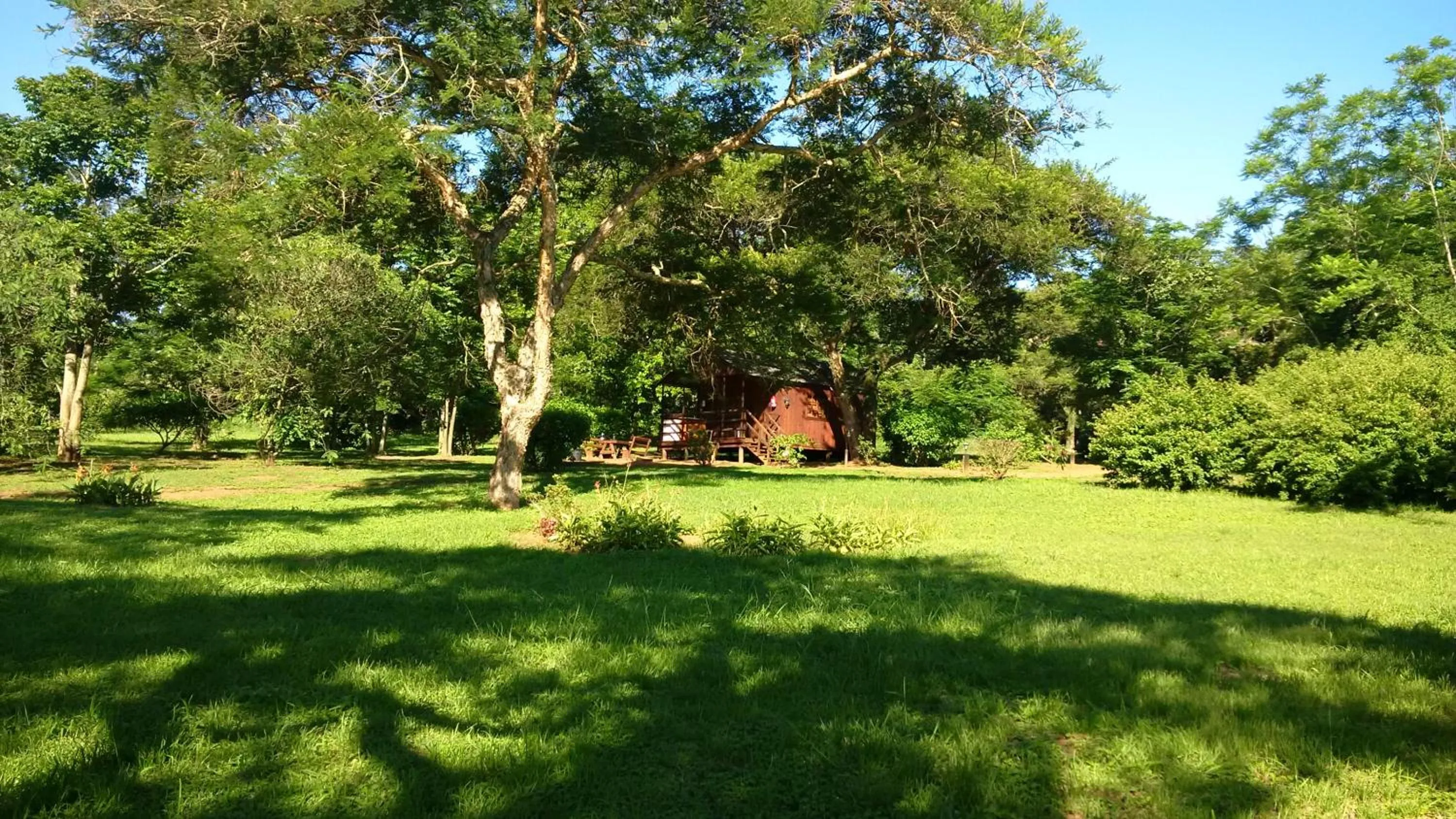 Garden in Thokozani Lodge