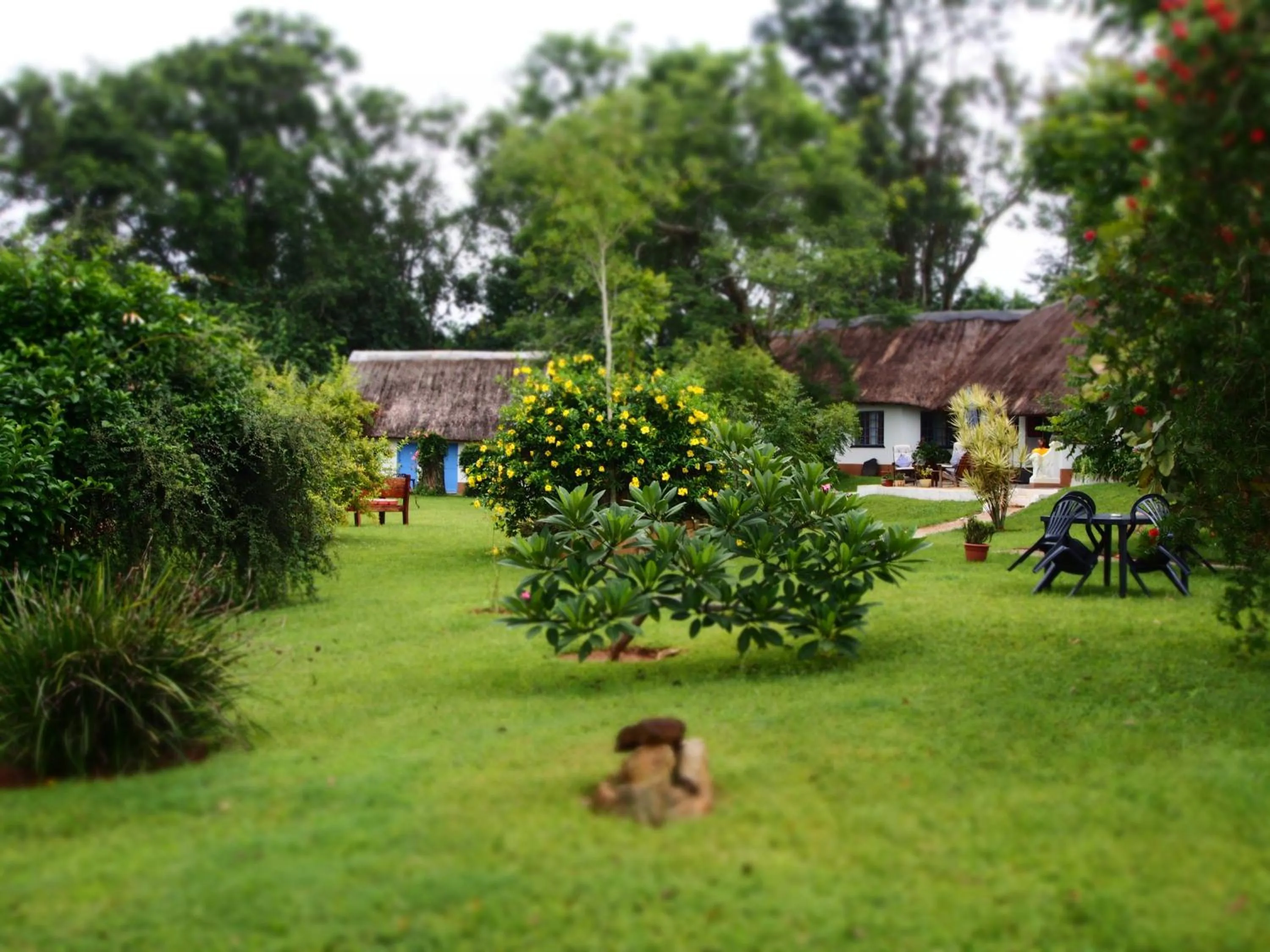 Day in Thokozani Lodge