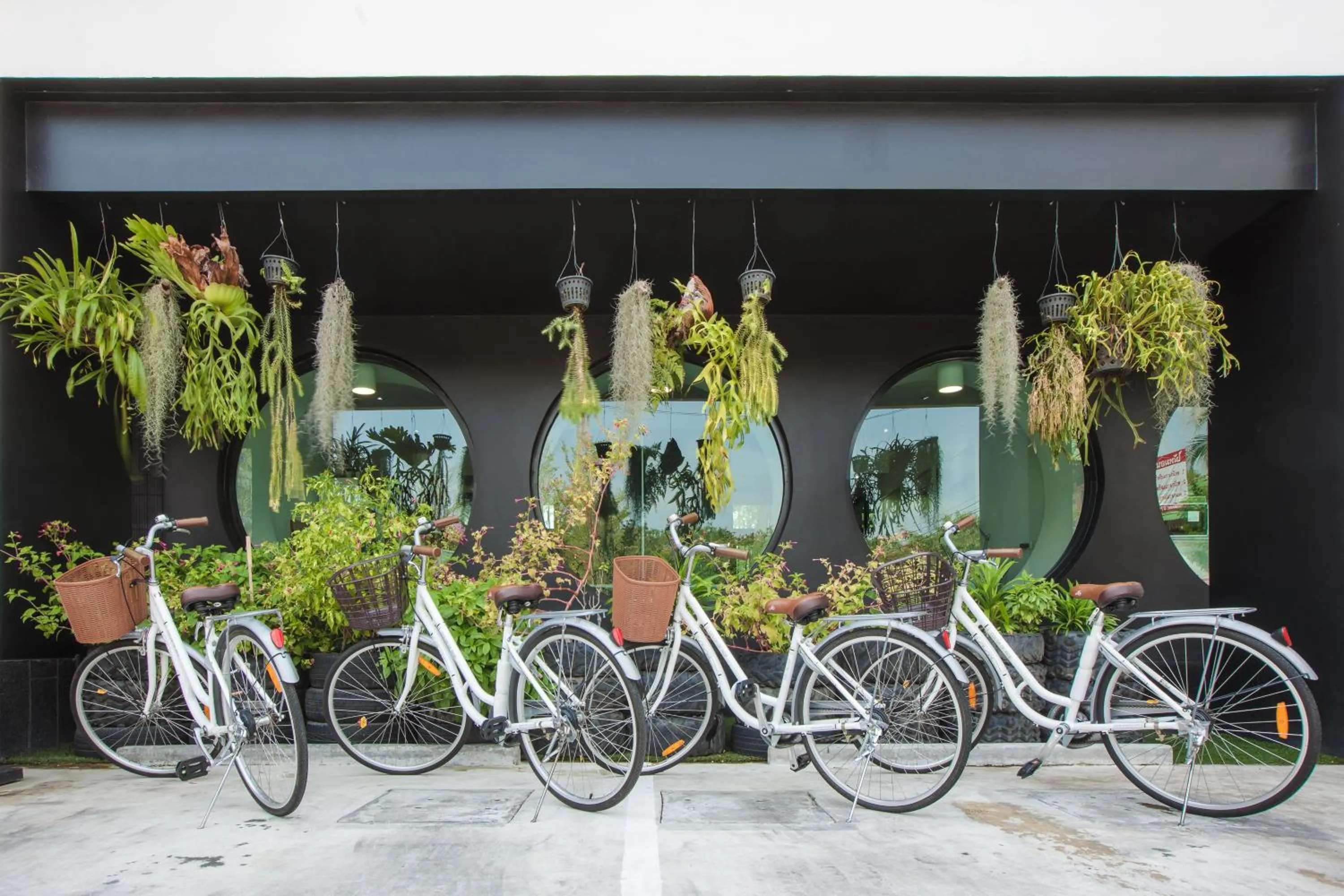 Cycling in Blu Monkey Hub and Hotel Phuket Town- Free All Day Coworking space