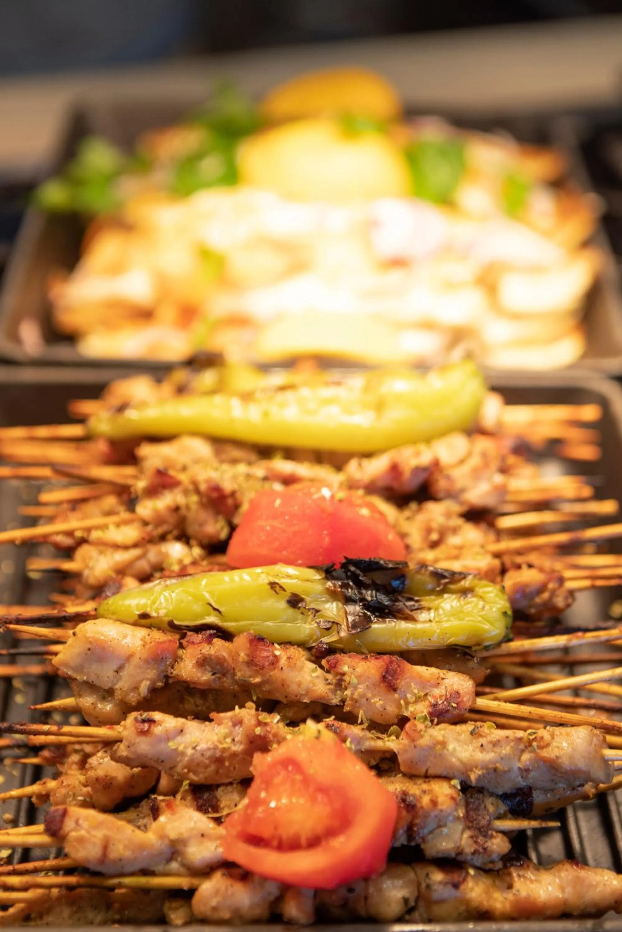 BBQ facilities in Melas Resort Hotel