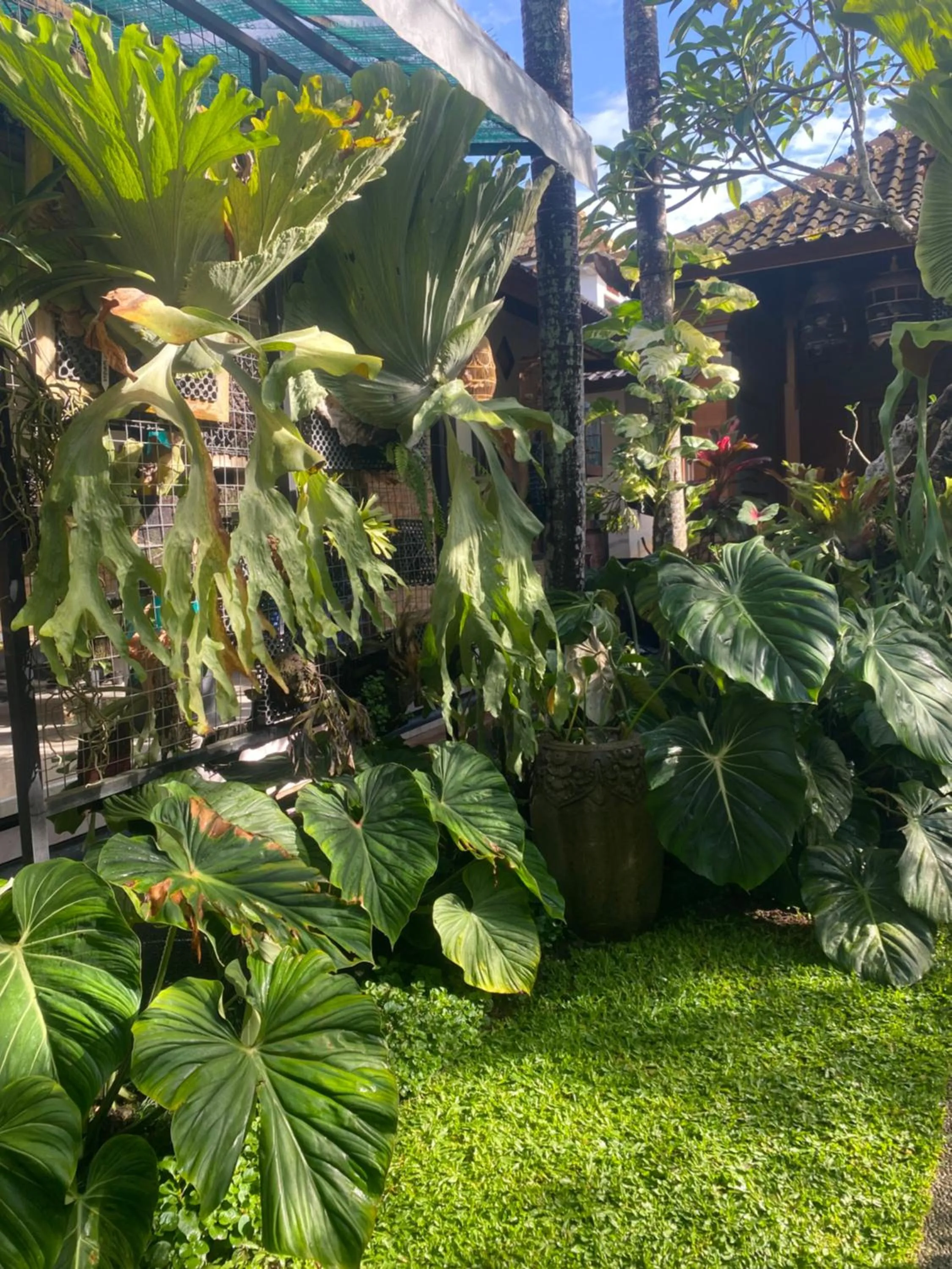 Suryadina Guest House