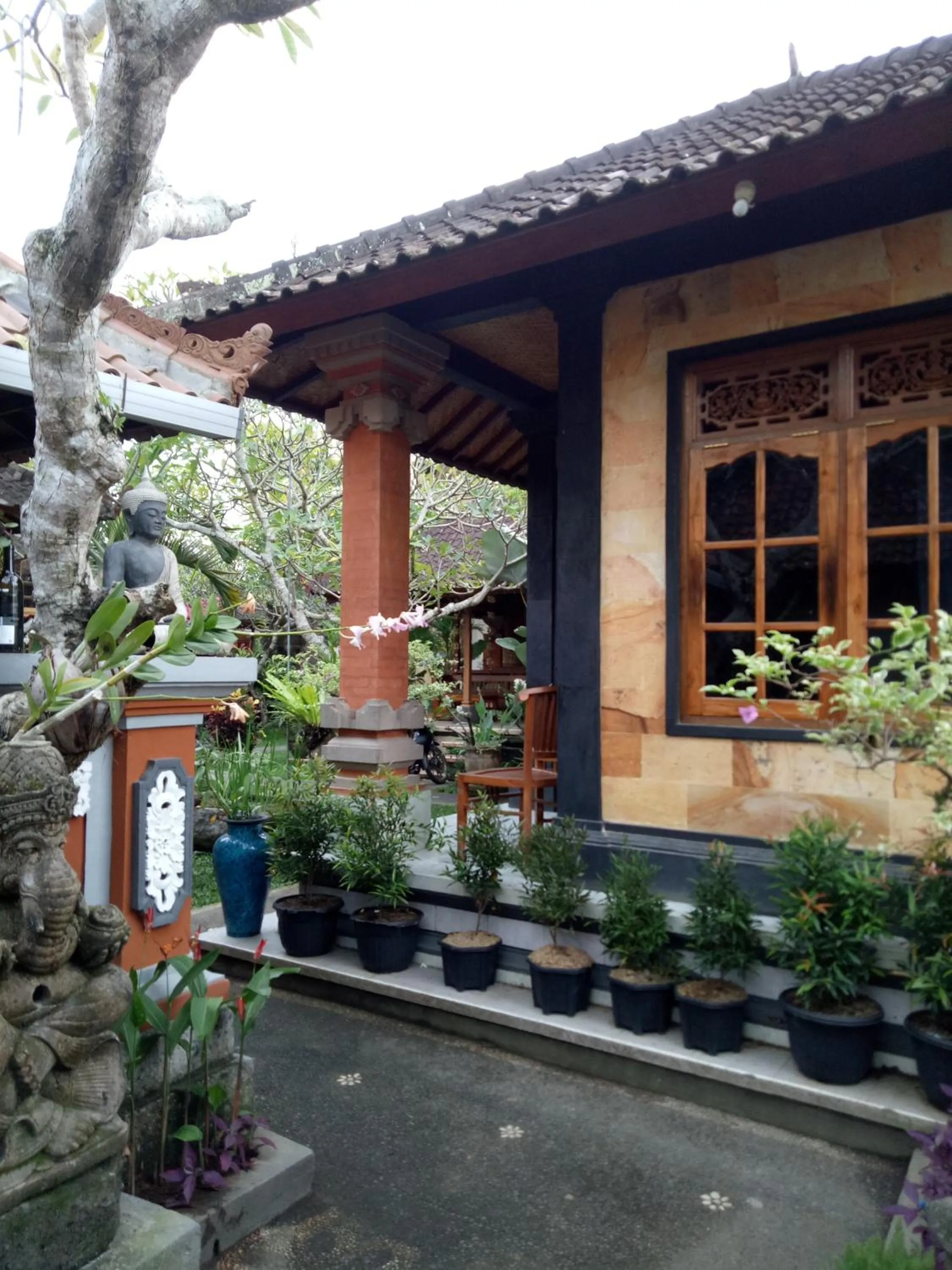 Garden in Suryadina Guest House