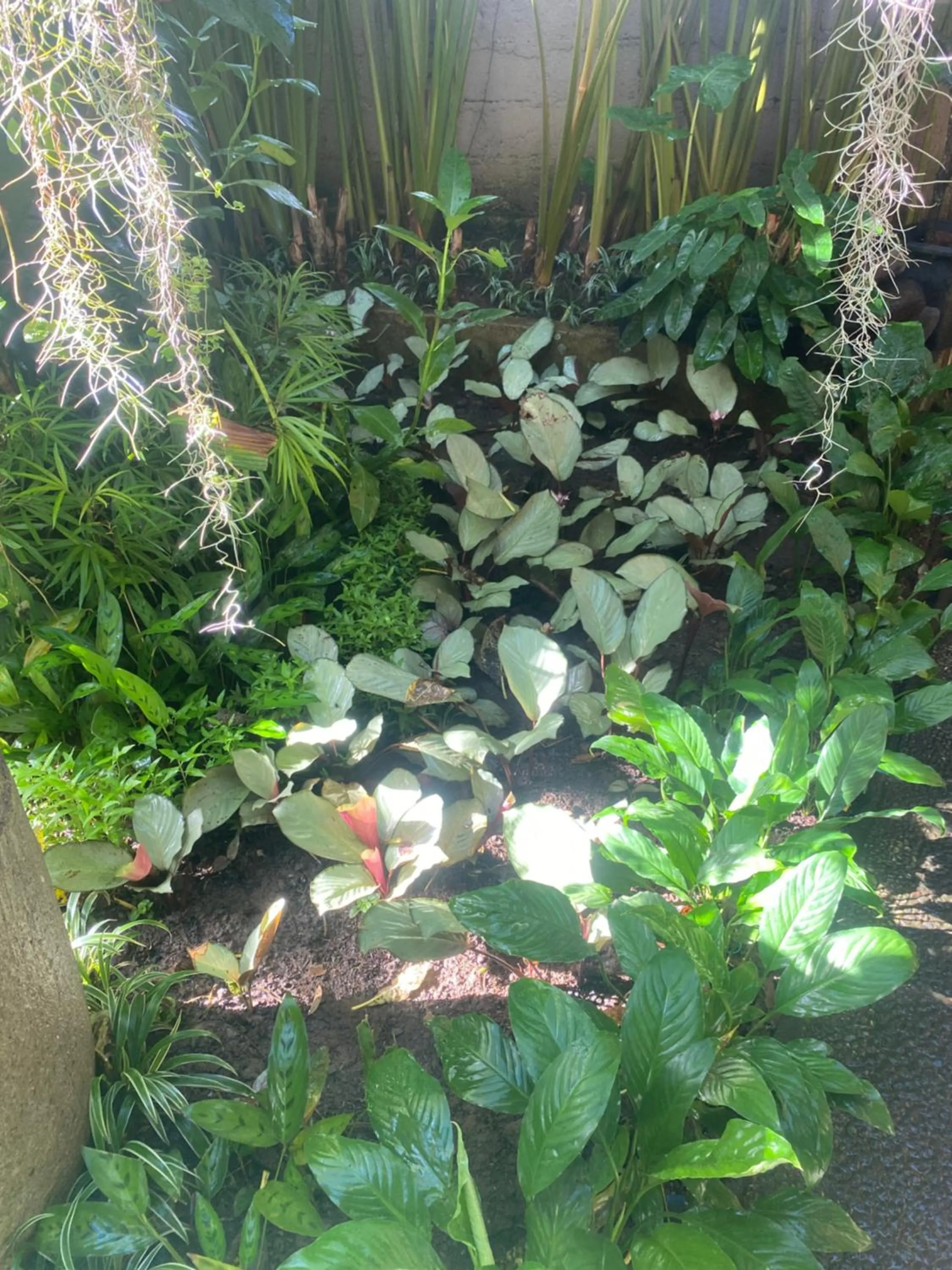 Suryadina Guest House