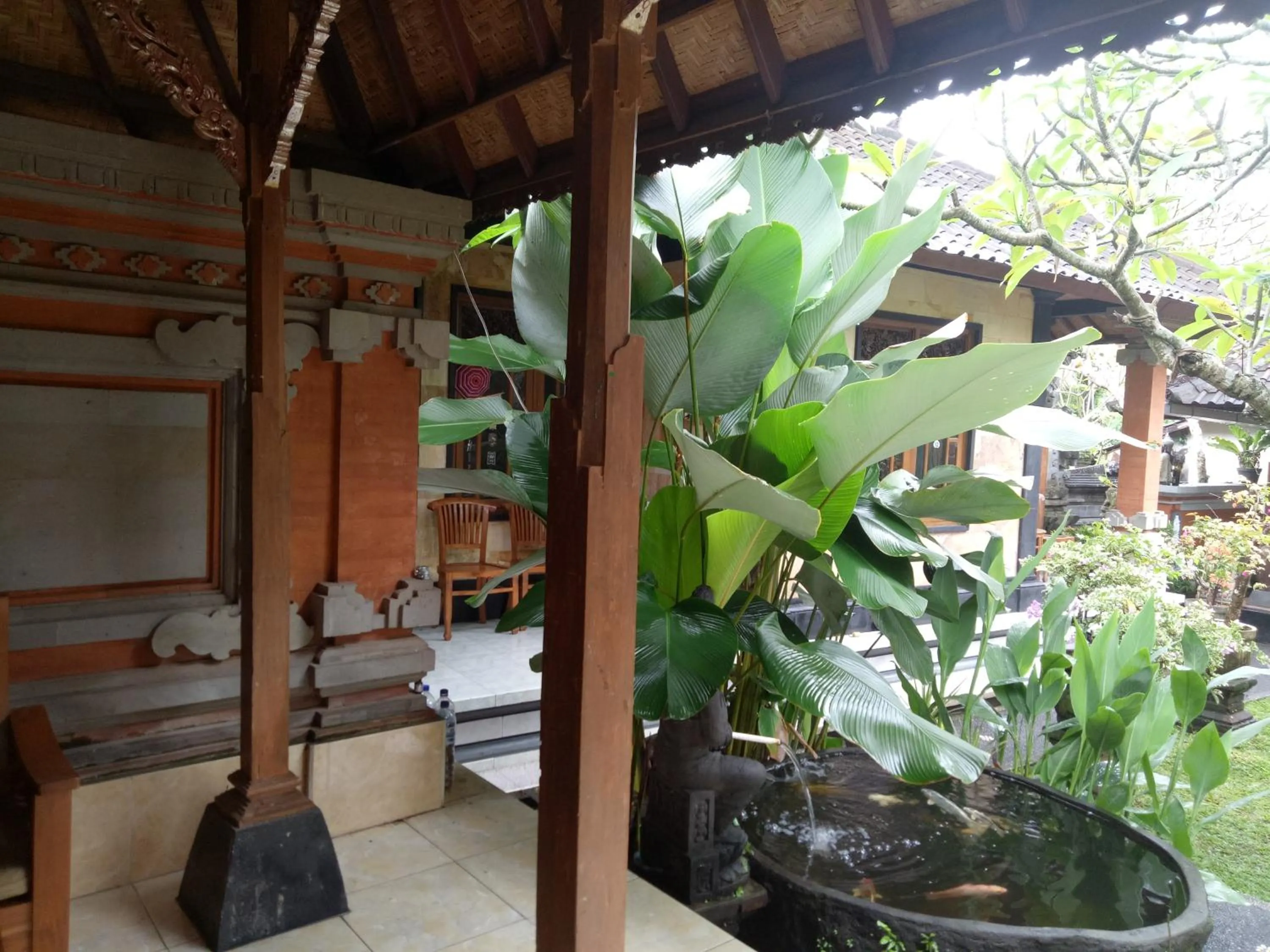 Garden view in Suryadina Guest House