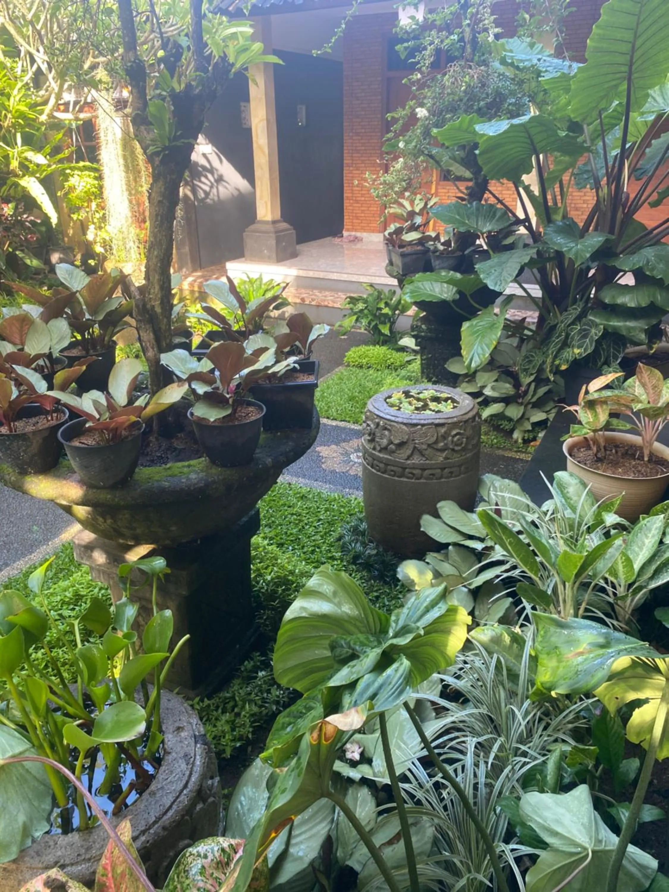 Suryadina Guest House