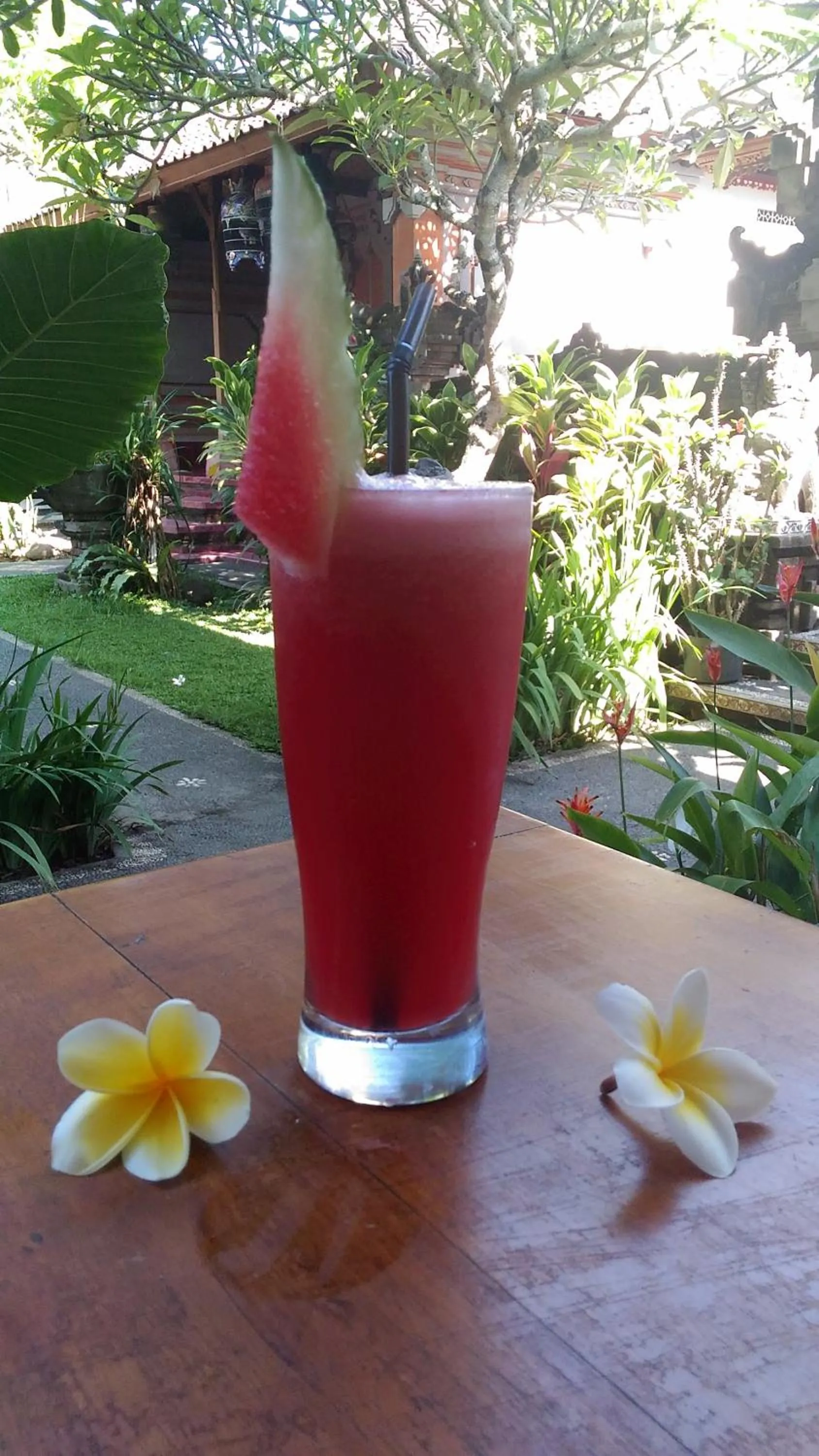 Day in Suryadina Guest House