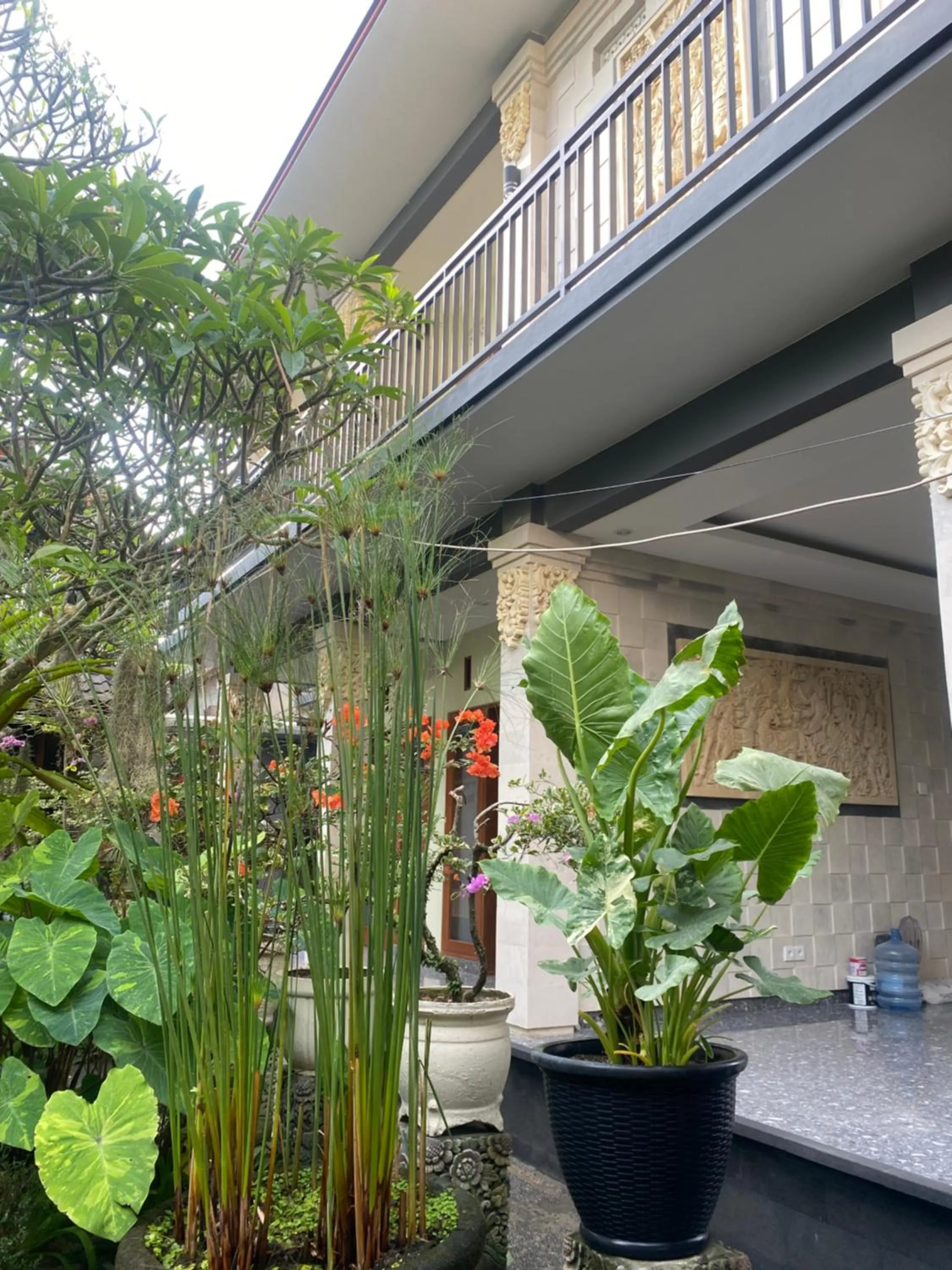 Suryadina Guest House