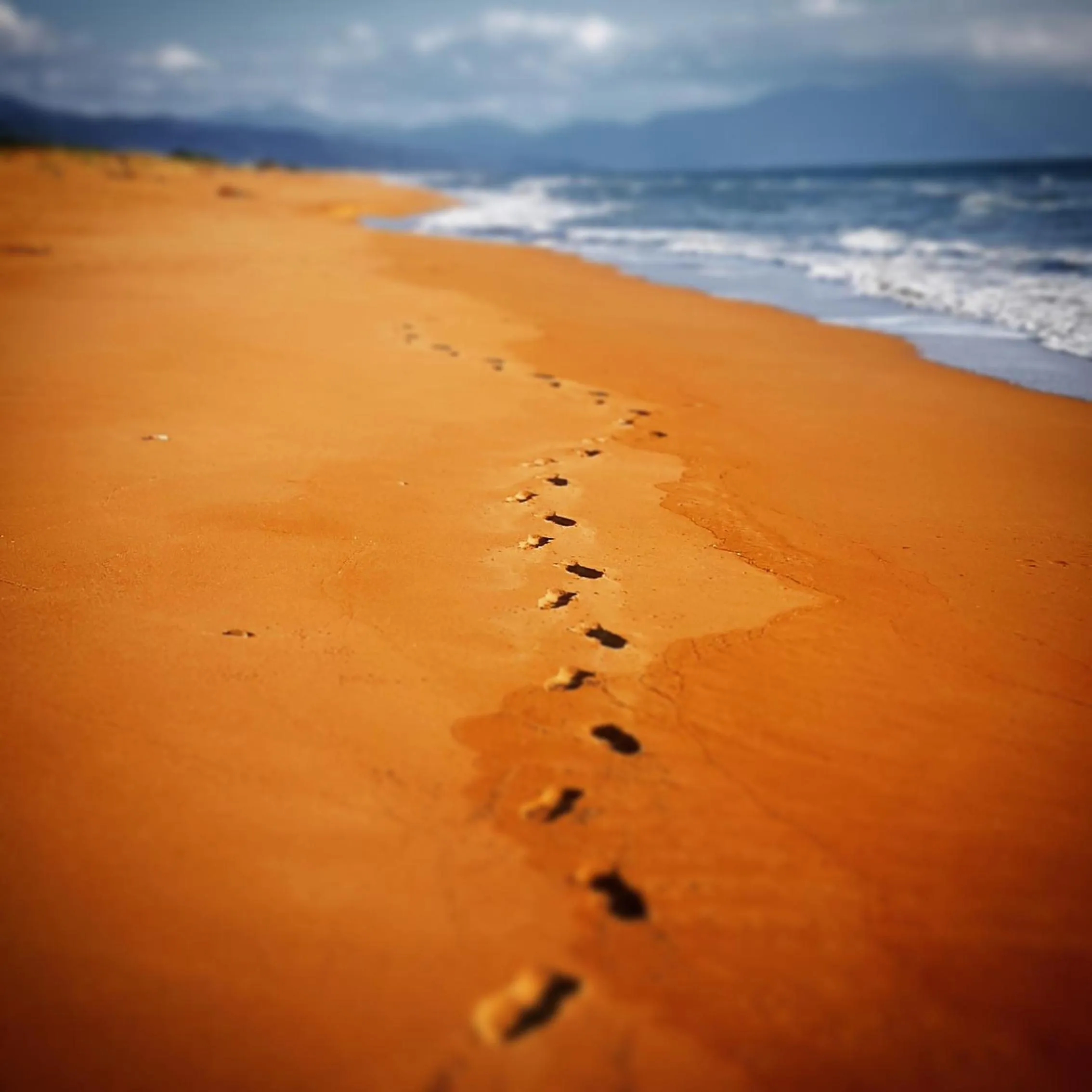 Natural landscape in Ostria Hotel Kakovatos Beach