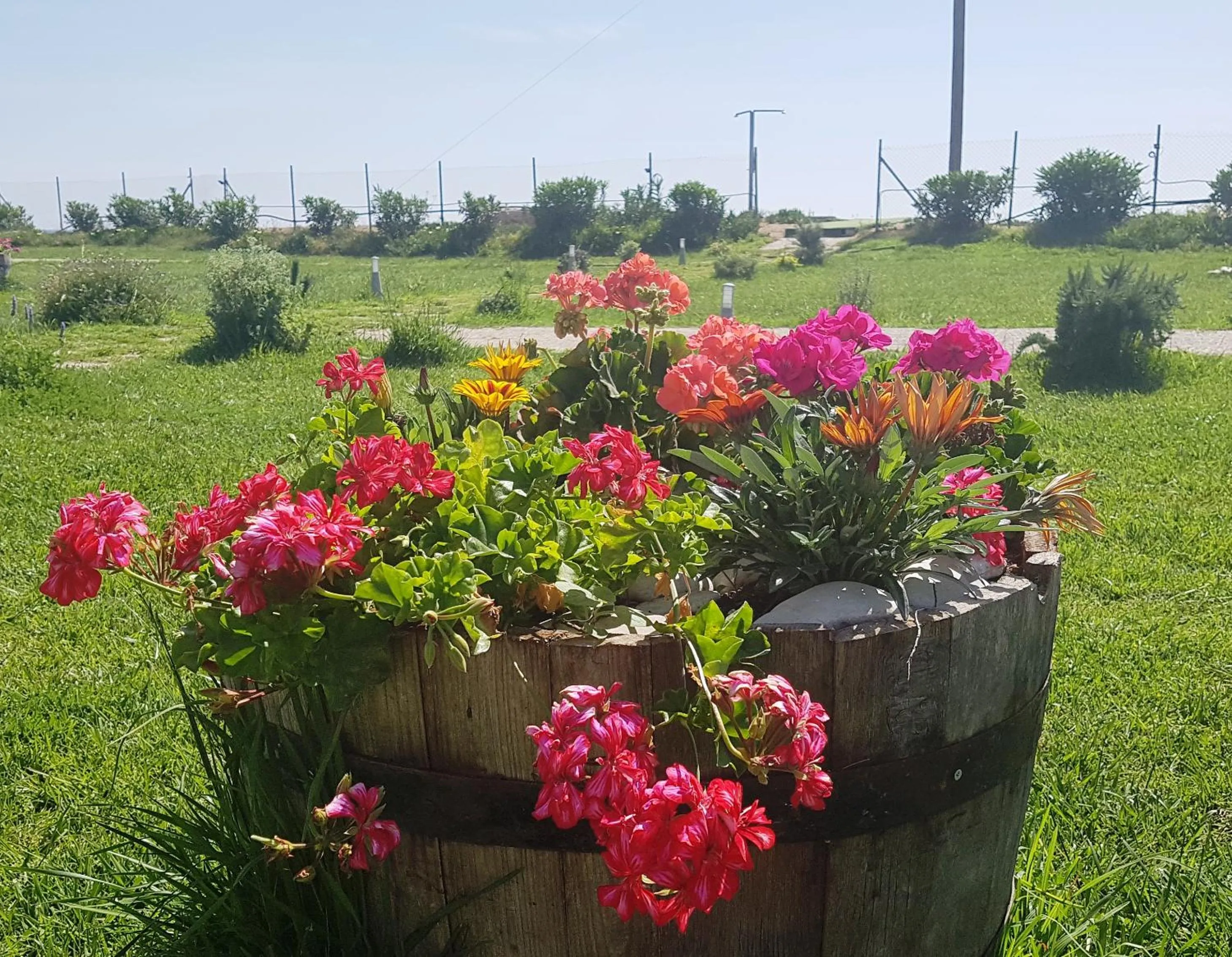 Garden in Ostria Hotel Kakovatos Beach