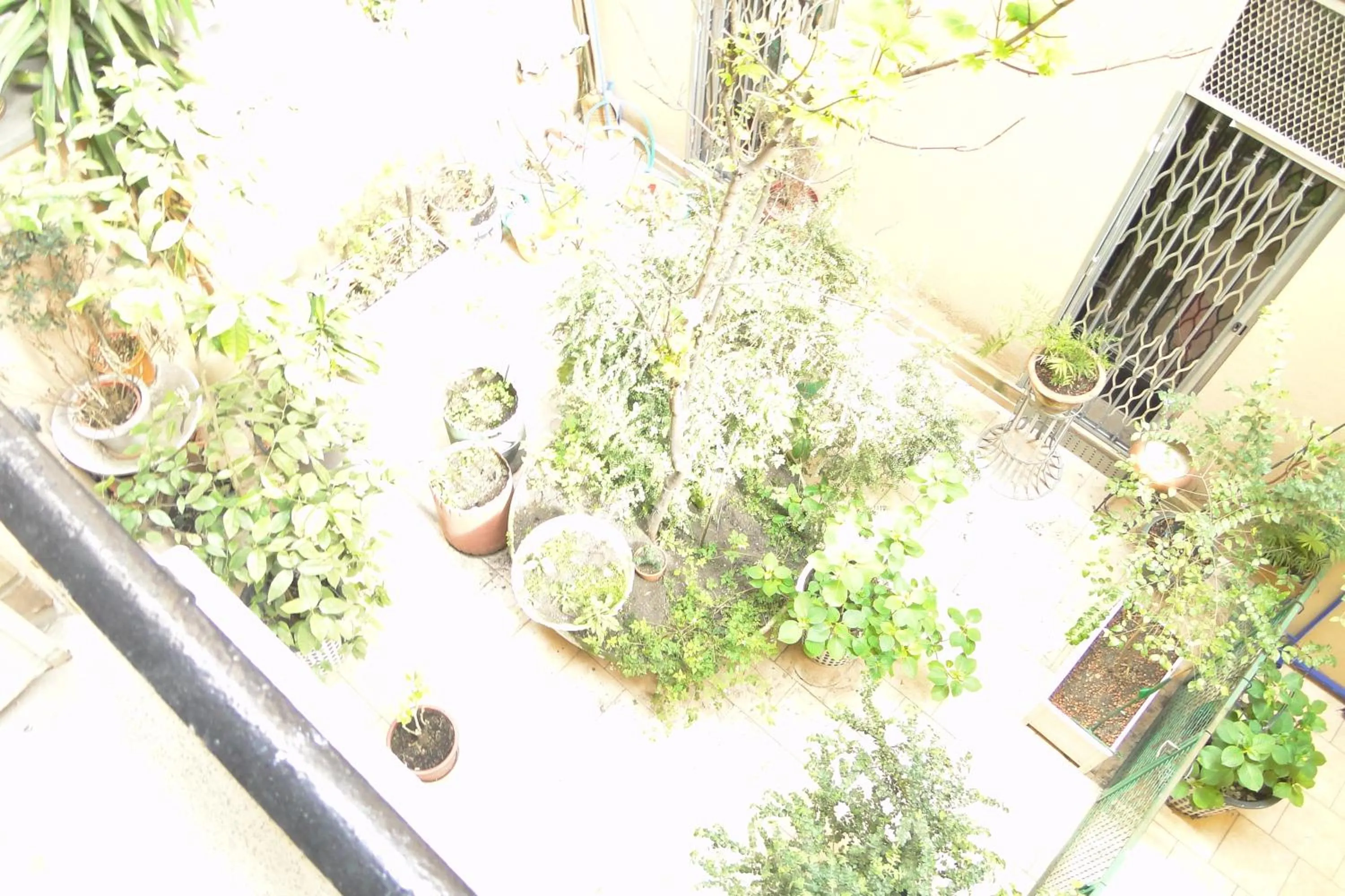 Balcony/Terrace, Bird's-eye View in Salvy Residence