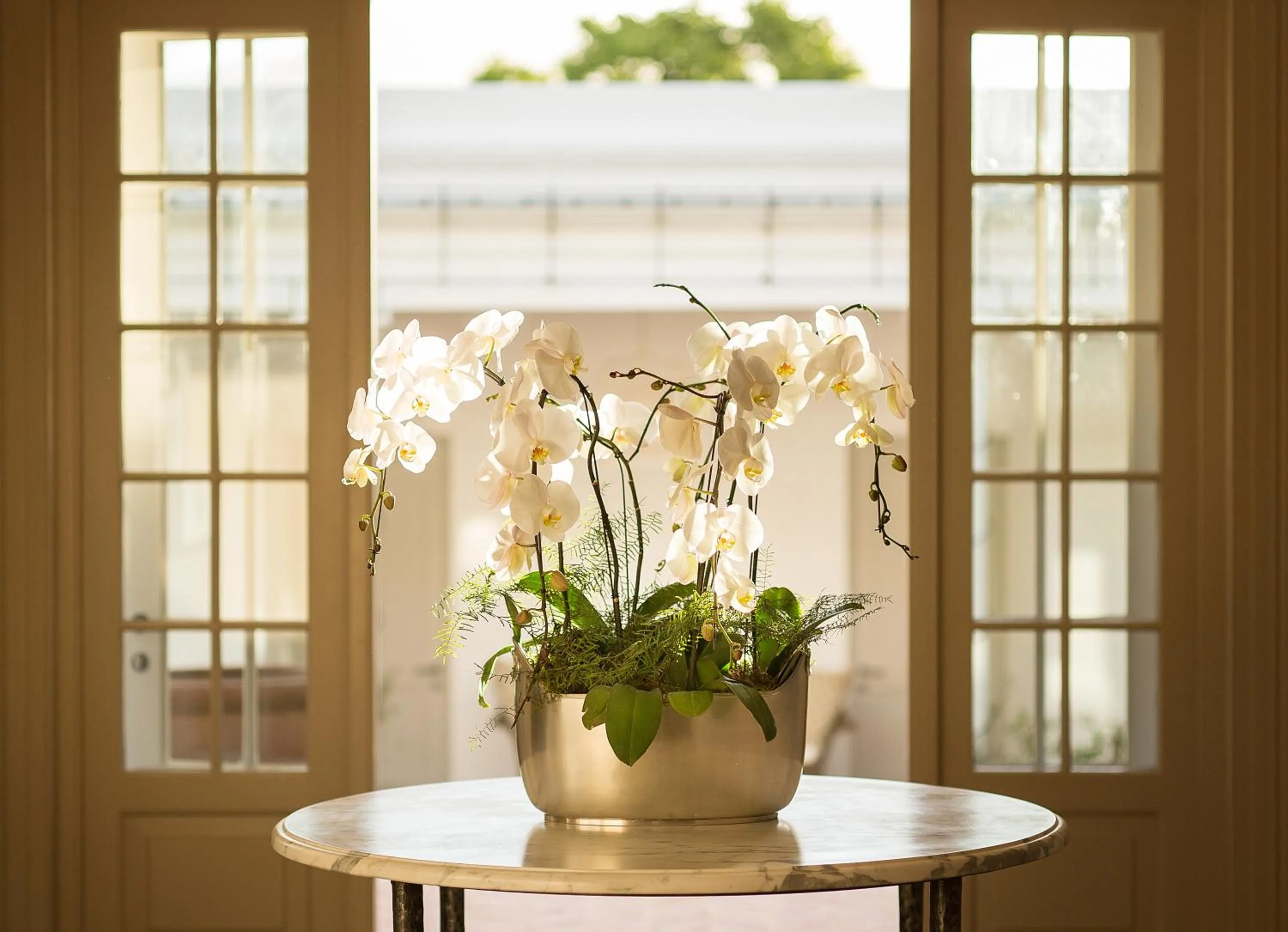 Lobby or reception in Leeu House