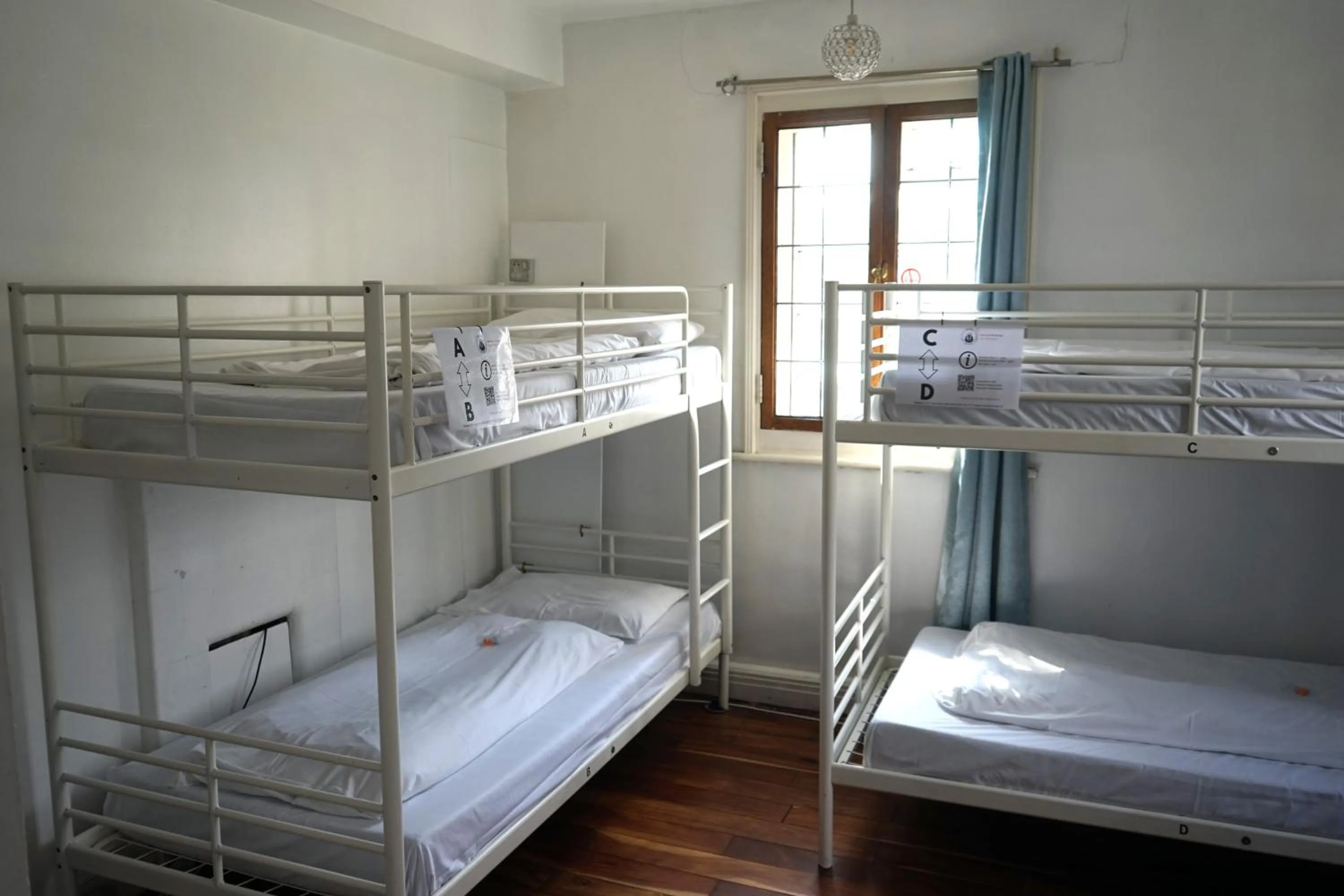 Bed in The Walrus Bar and Hostel