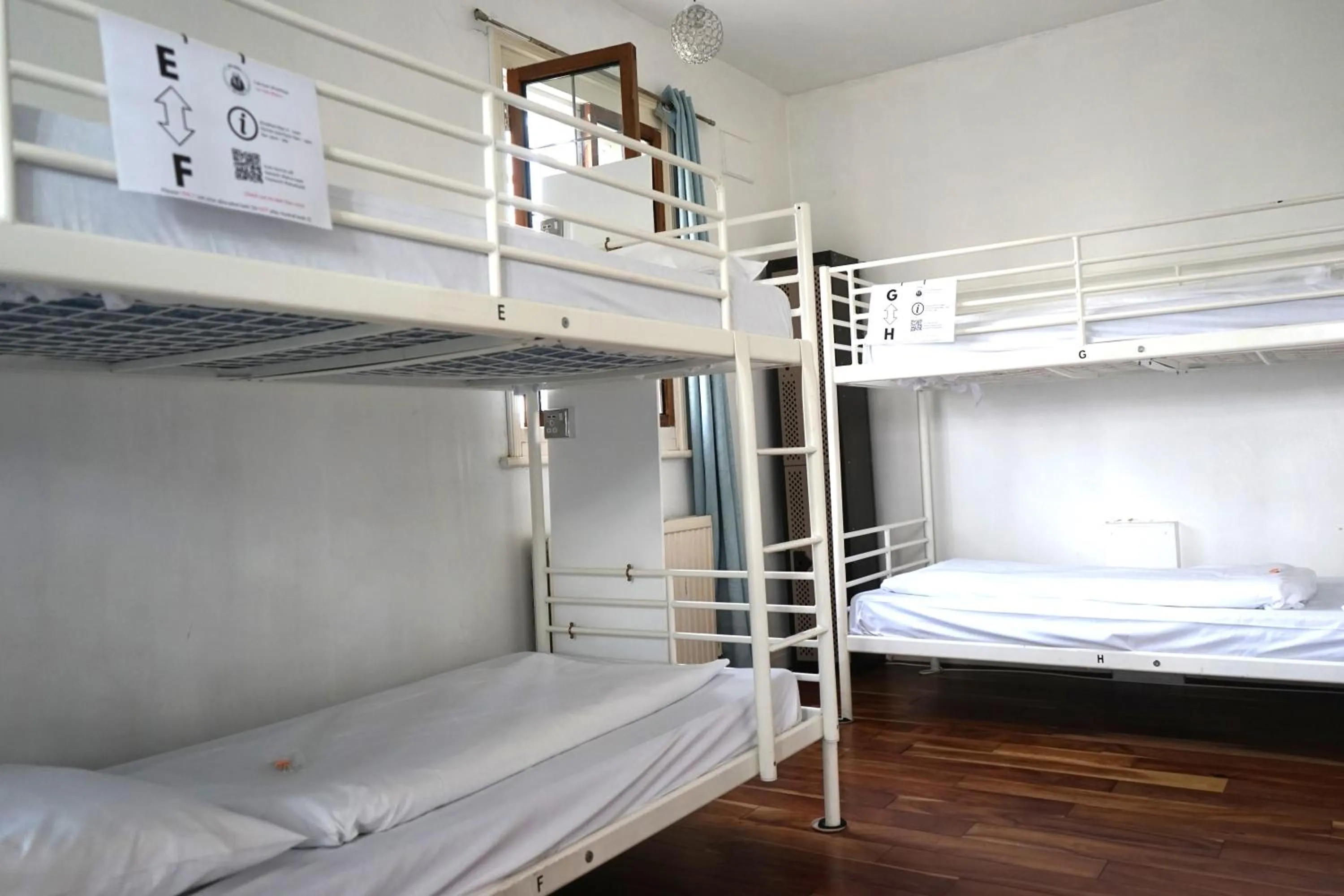 Bed in The Walrus Bar and Hostel