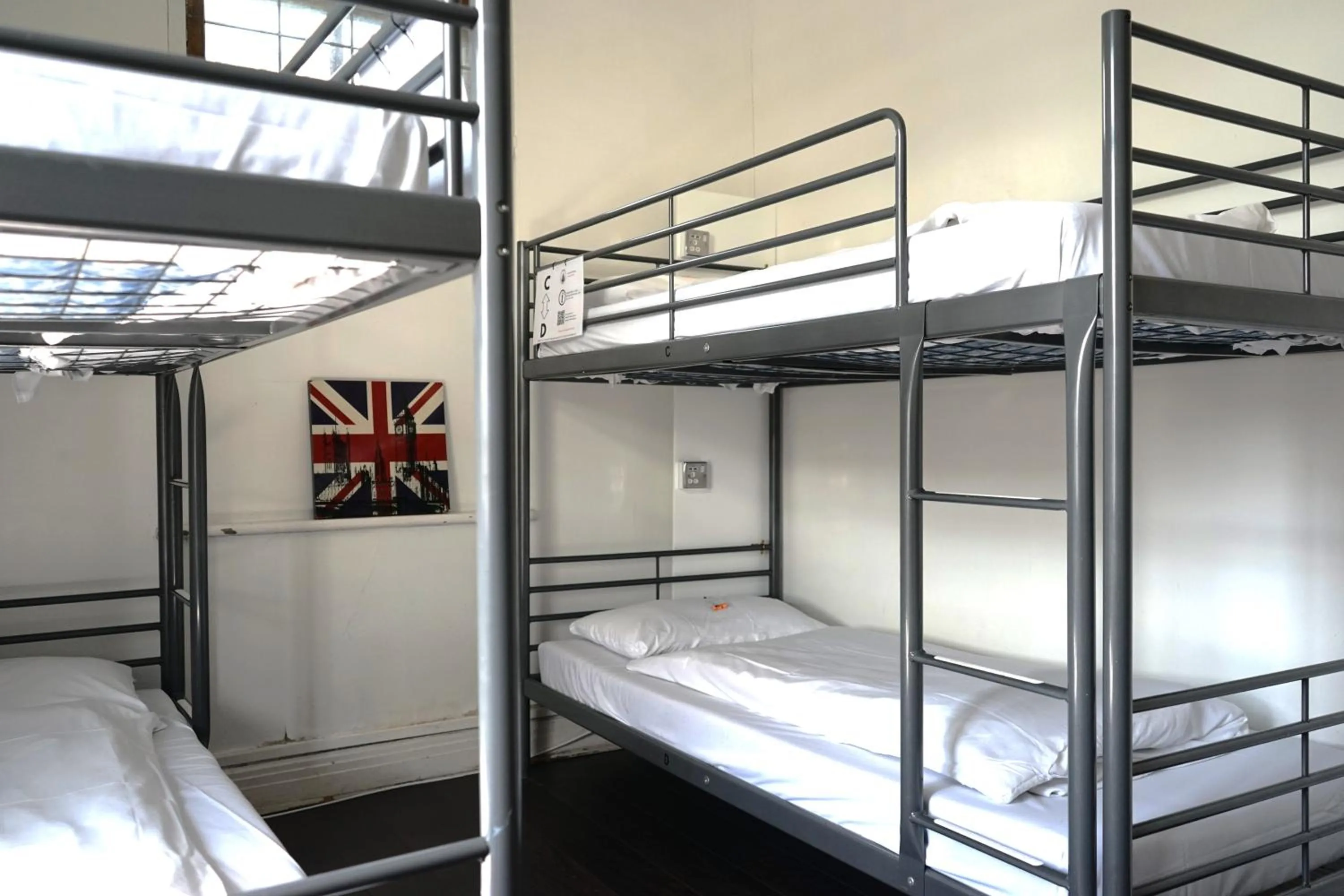 Bed in The Walrus Bar and Hostel