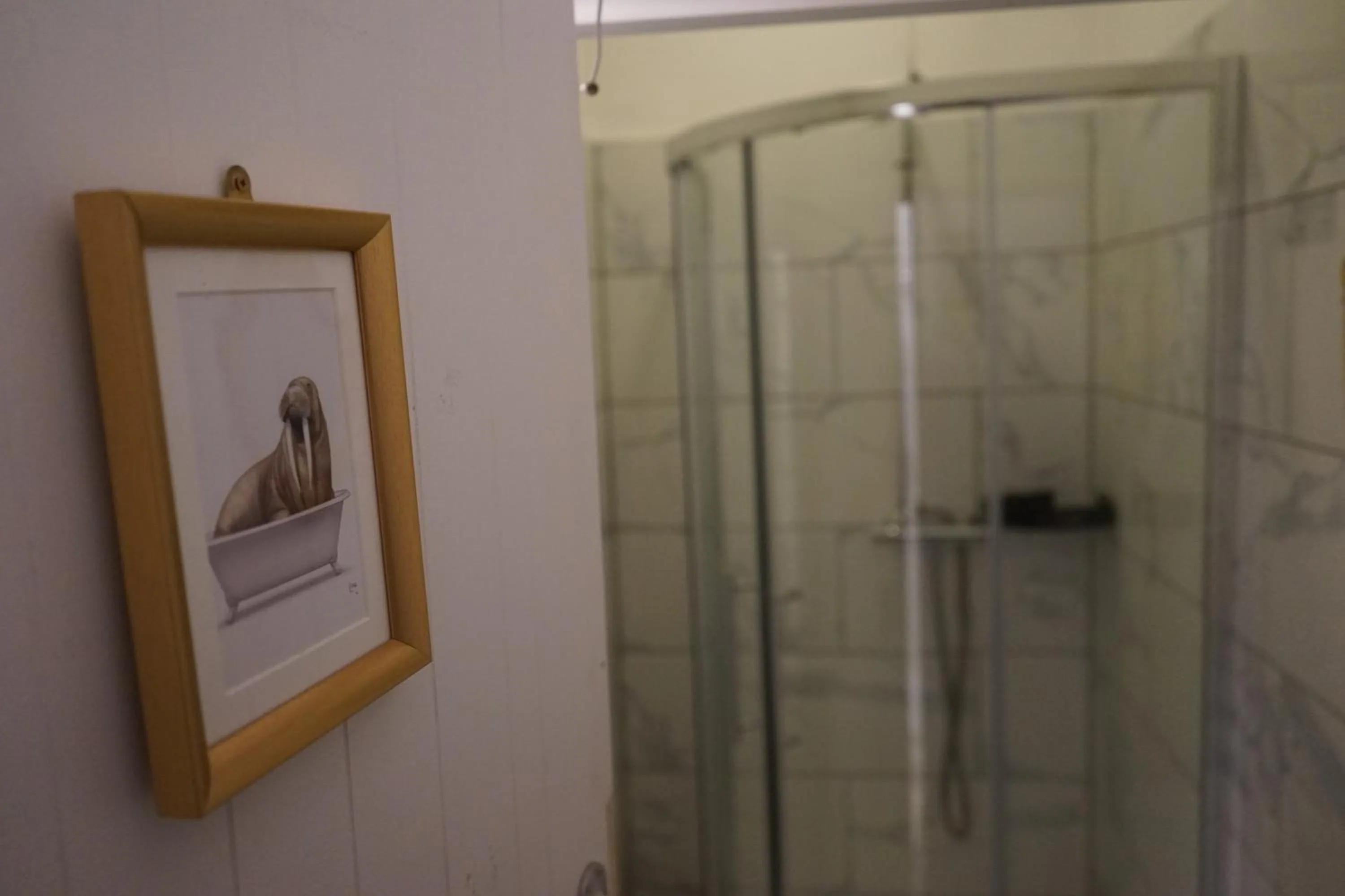 Shower in The Walrus Bar and Hostel