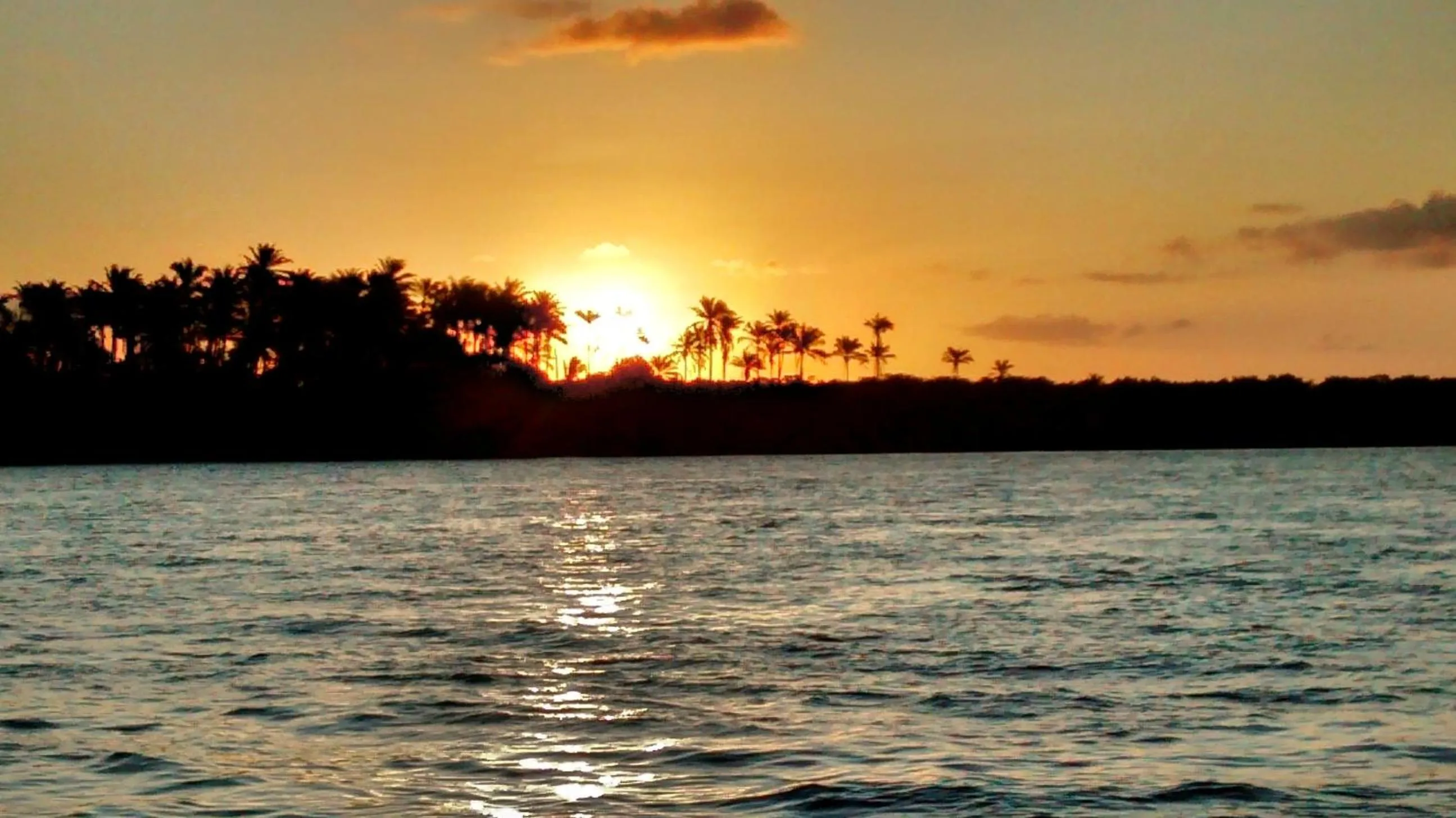 Natural landscape in Pousada Das Roseiras