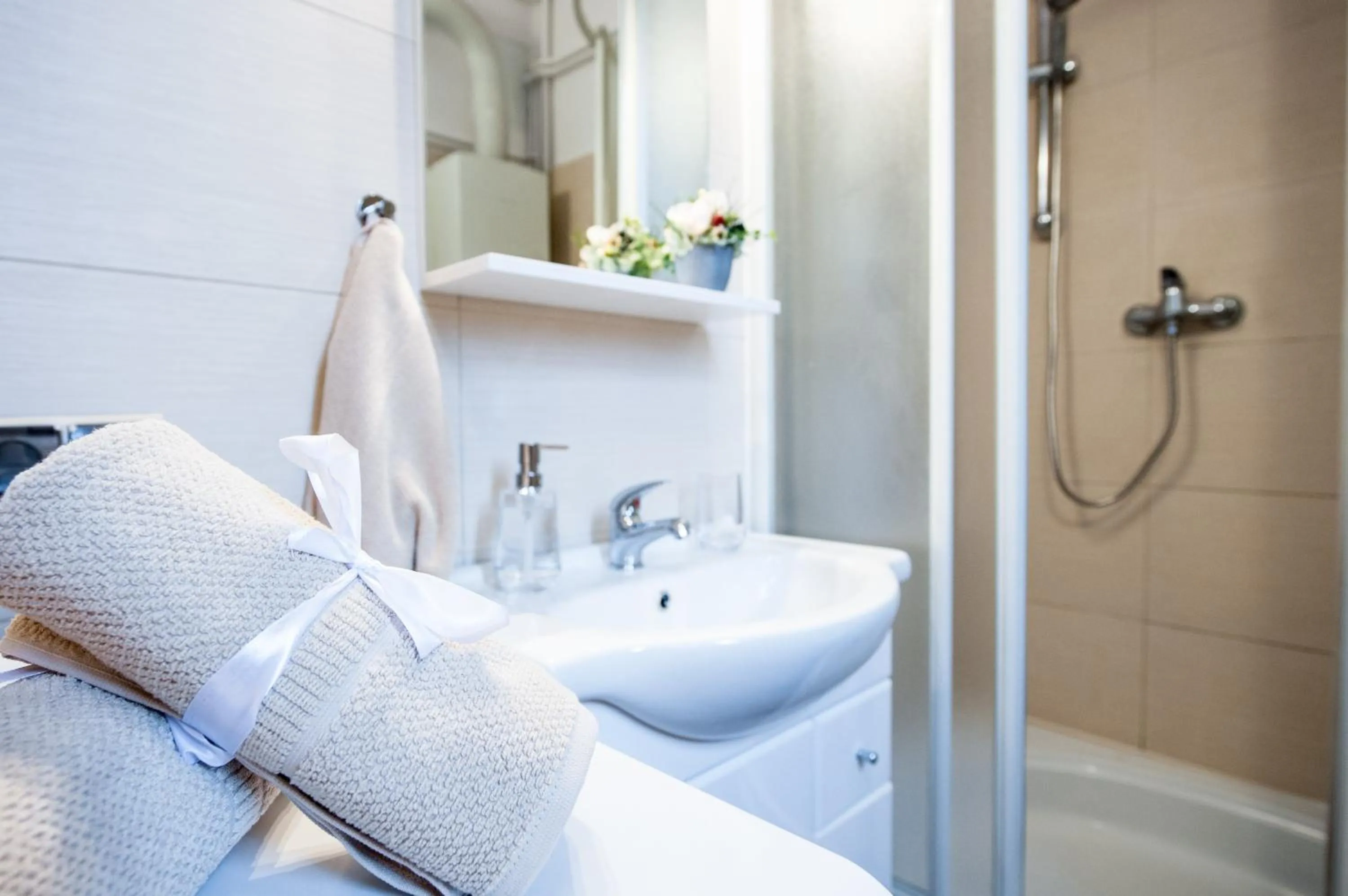 Bathroom in Apartments Roman