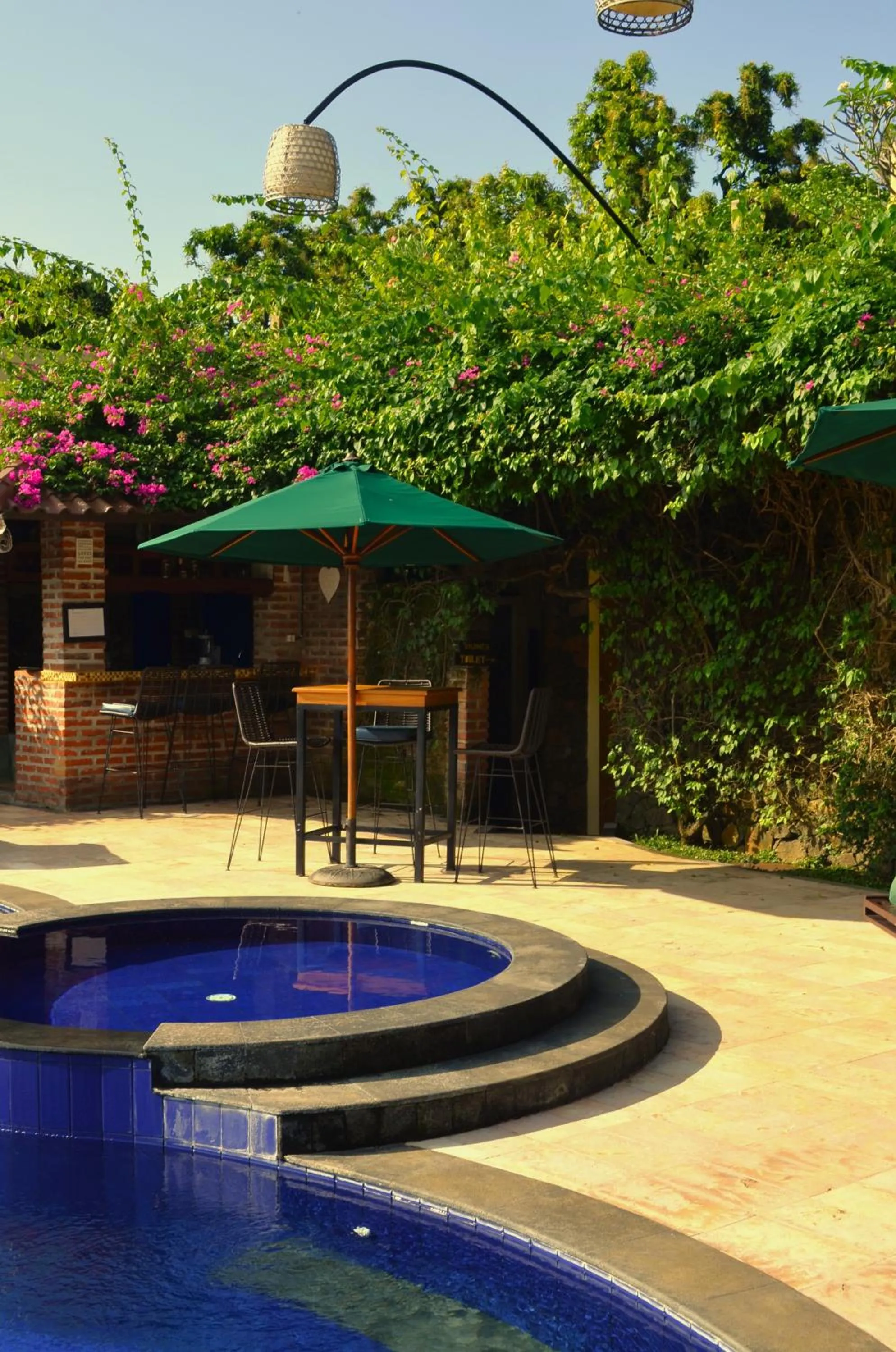 Lounge or bar in Alamanda Lovina Resort