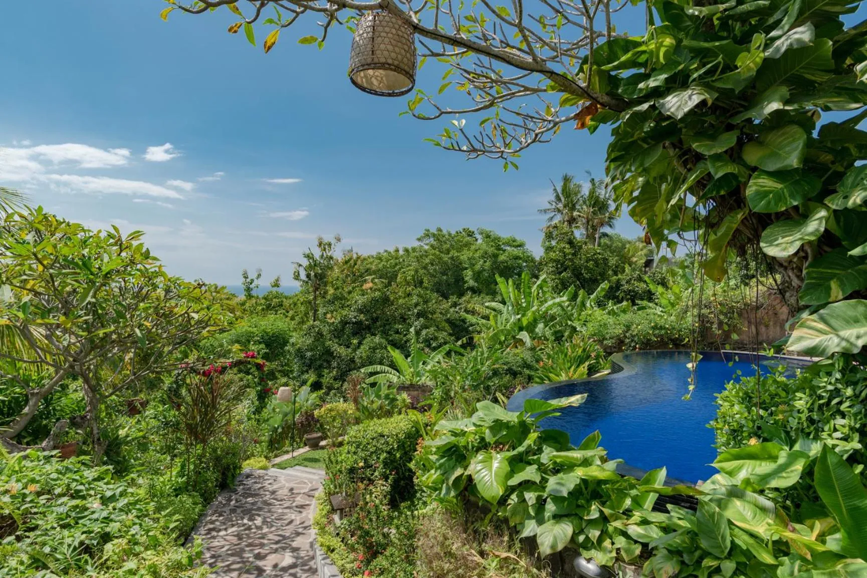 Pool view in Alamanda Lovina Resort