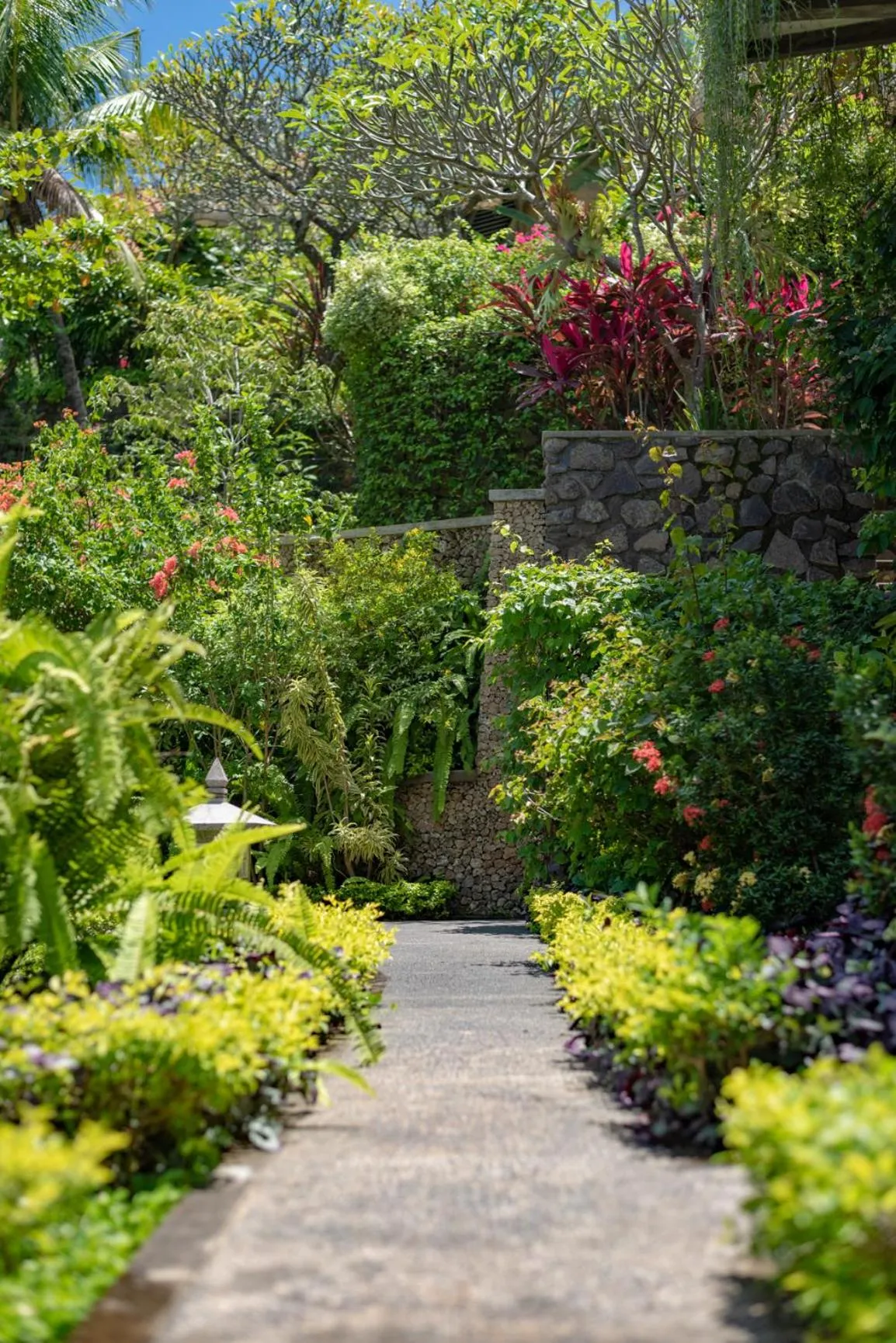 Garden in Alamanda Lovina Resort