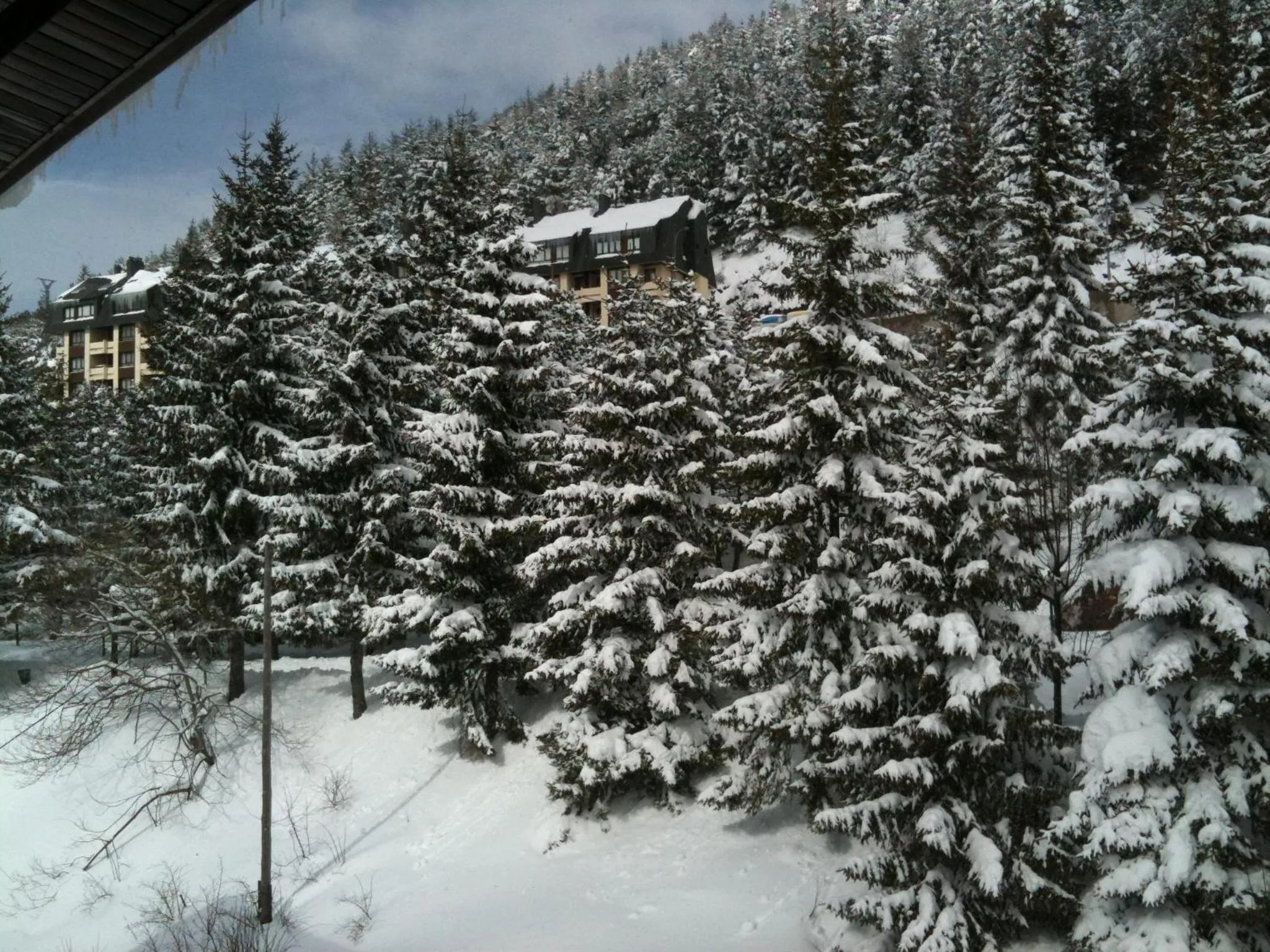 Area and facilities in Hotel Edelweiss Candanchú