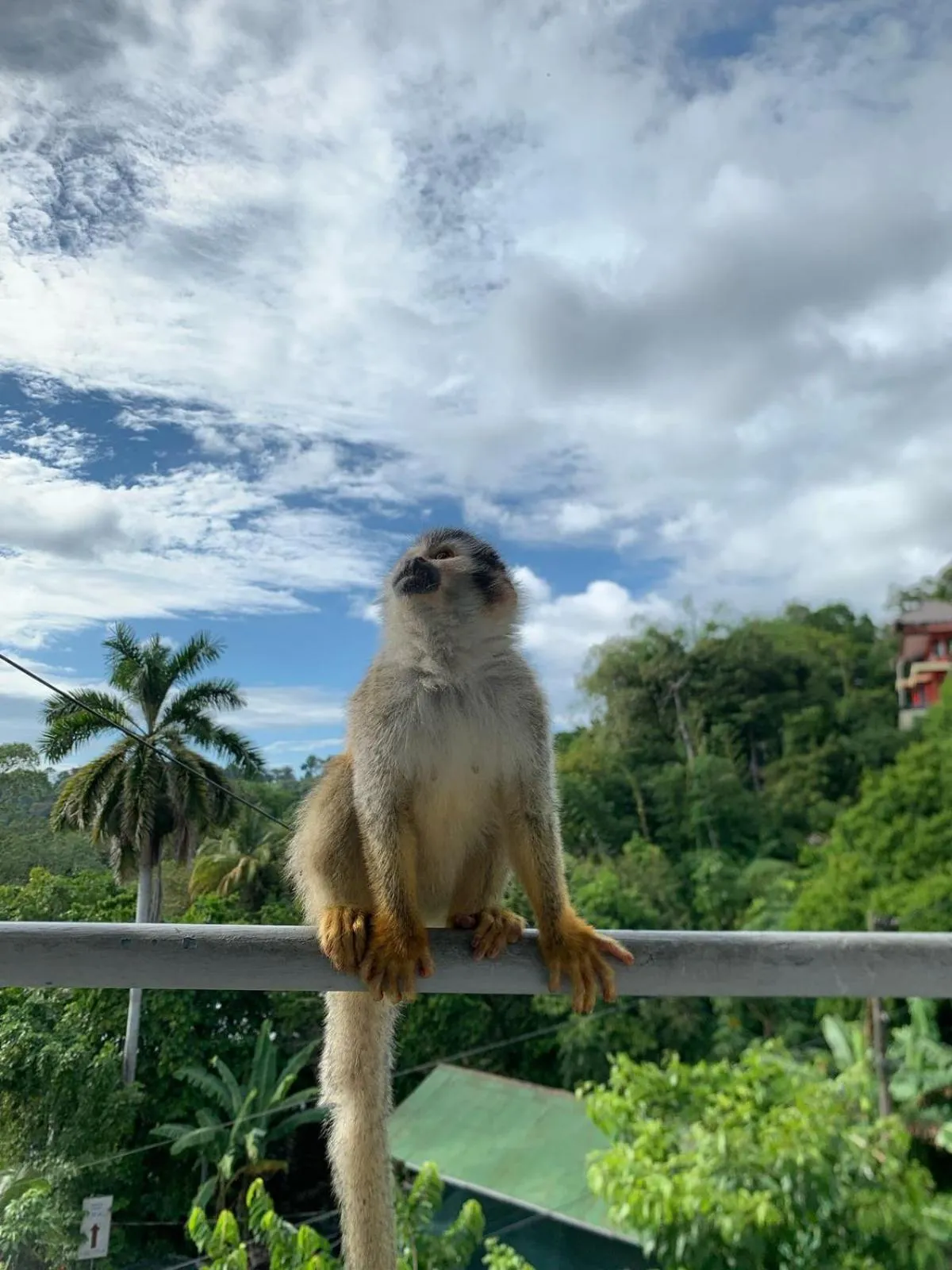Natural landscape in Hotel Villas de la Selva