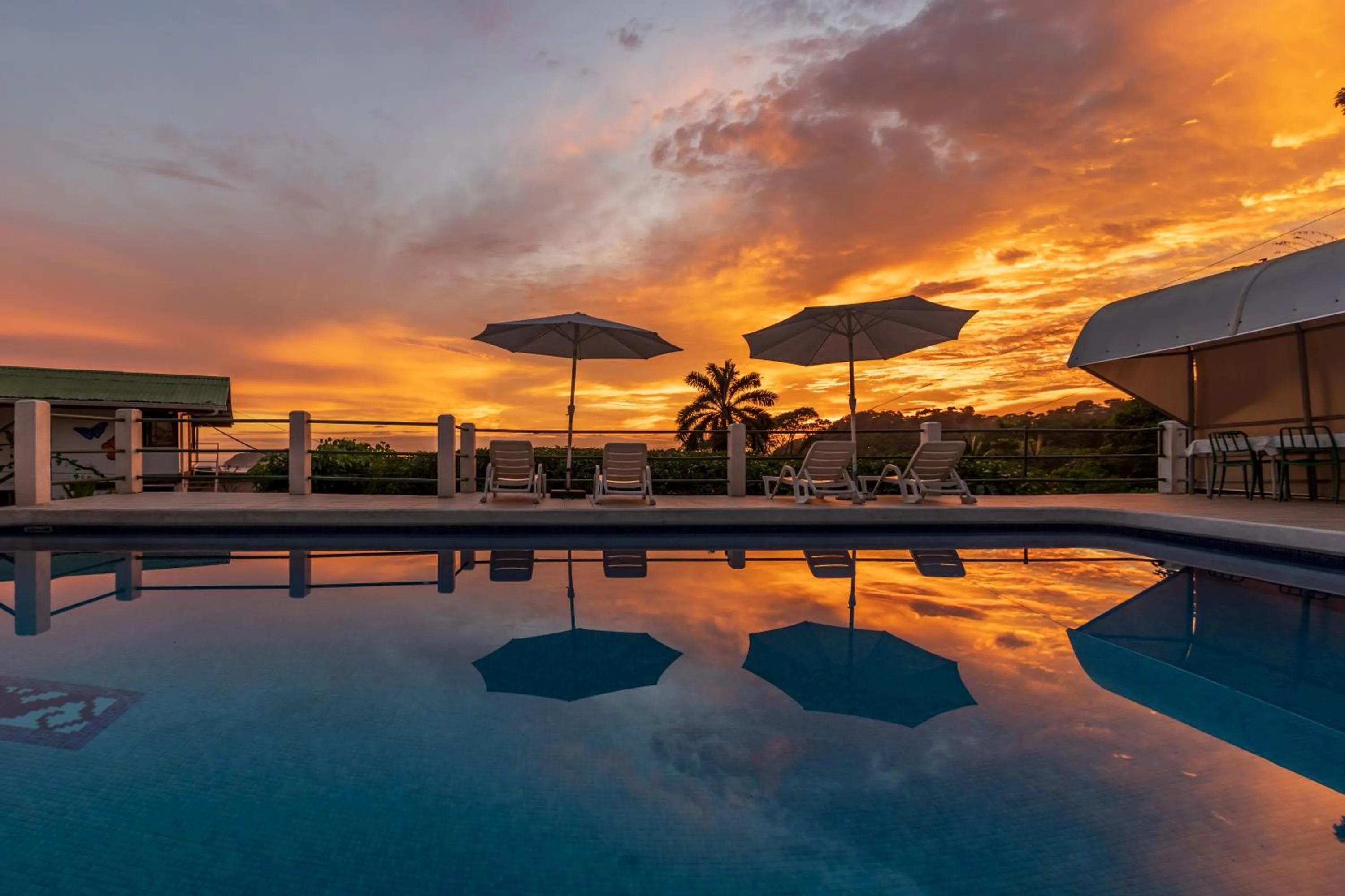 Natural landscape in Hotel Villas de la Selva
