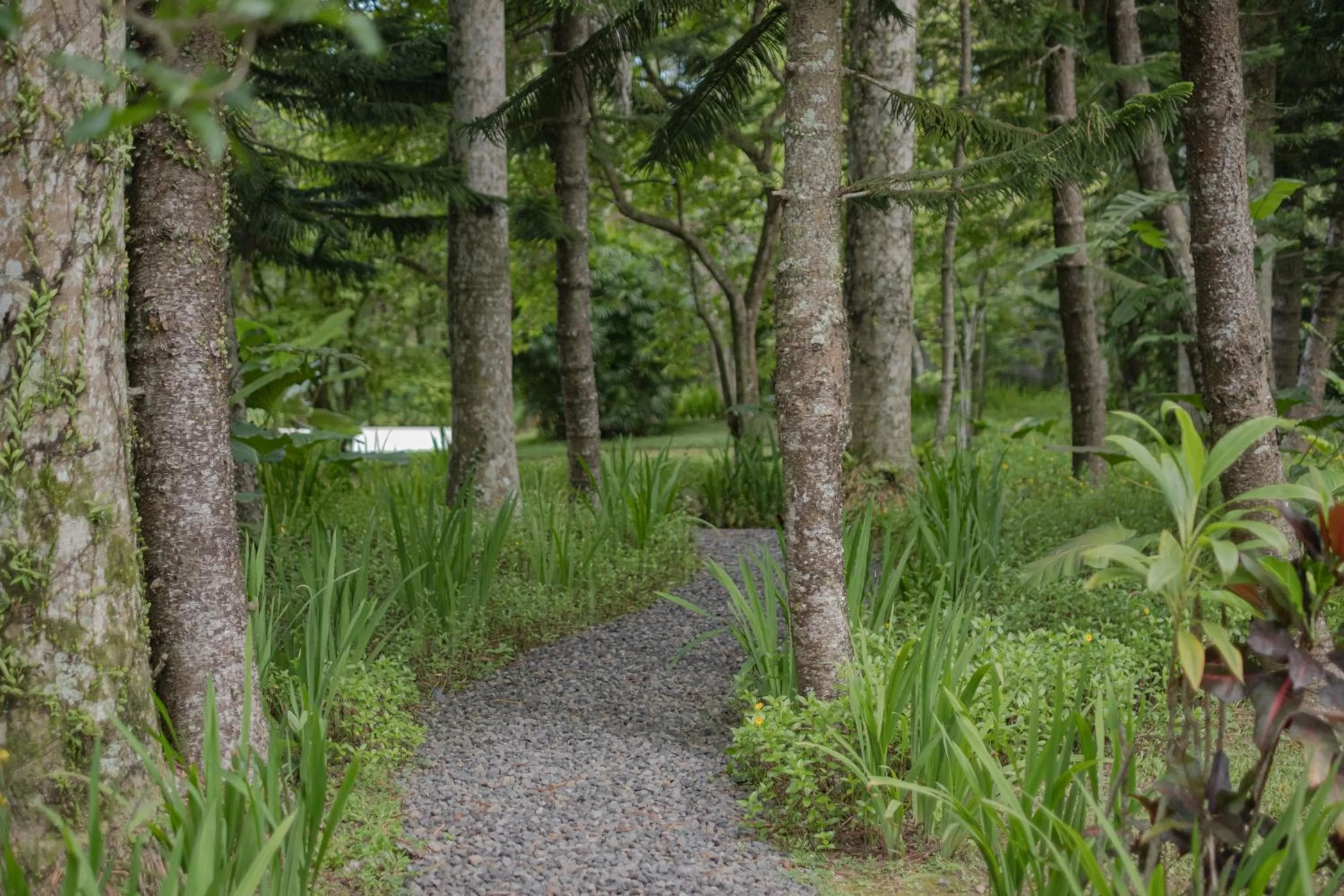 Natural landscape in Bumi Kinar Heritage