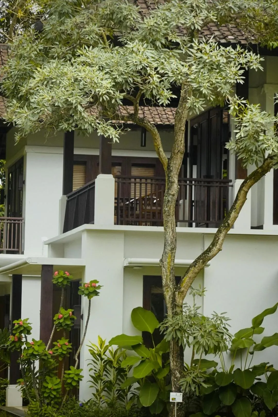 Balcony/Terrace in Bumi Kinar Heritage