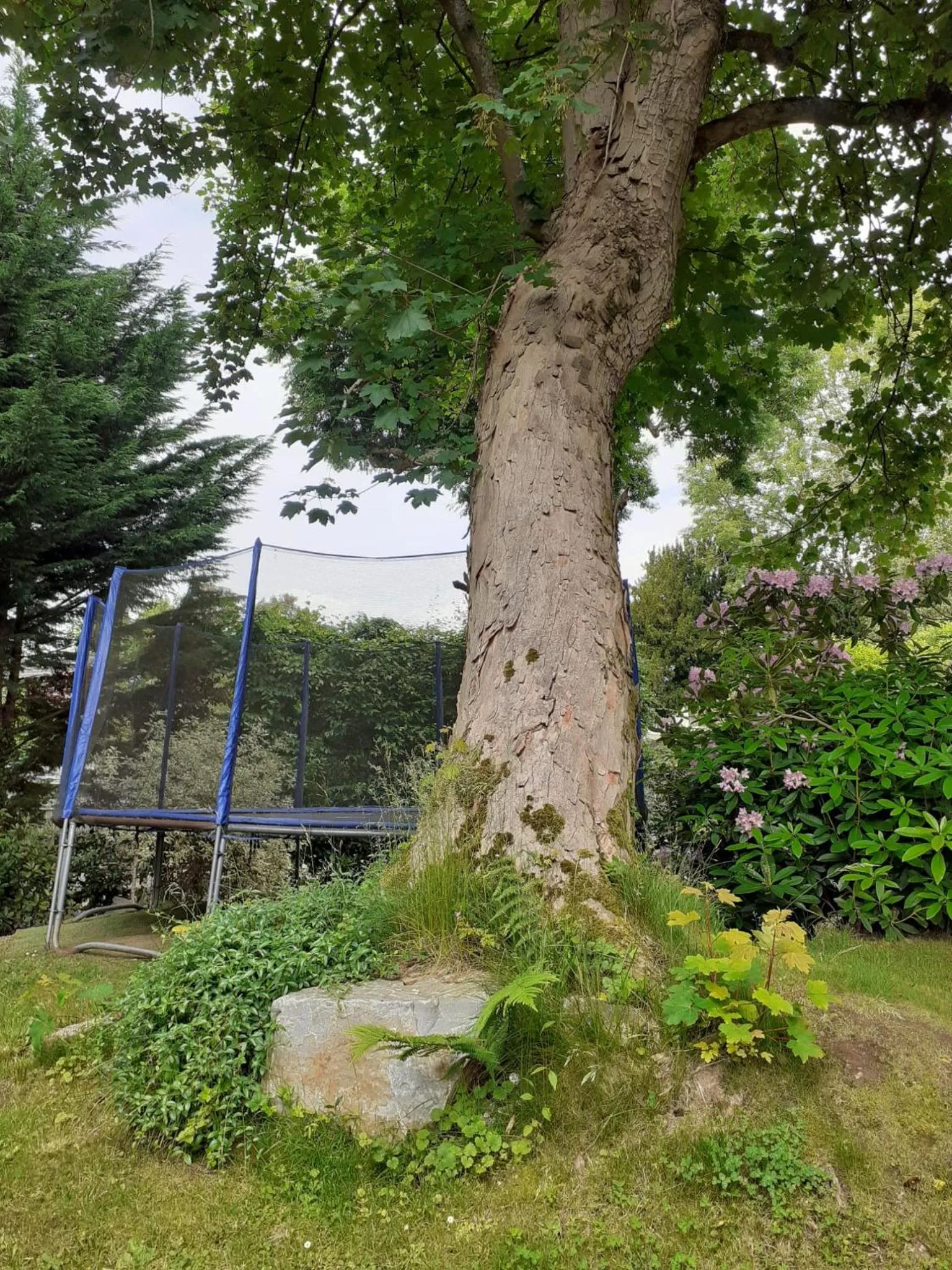 Garden view in Manoir de l'As de Trèfle