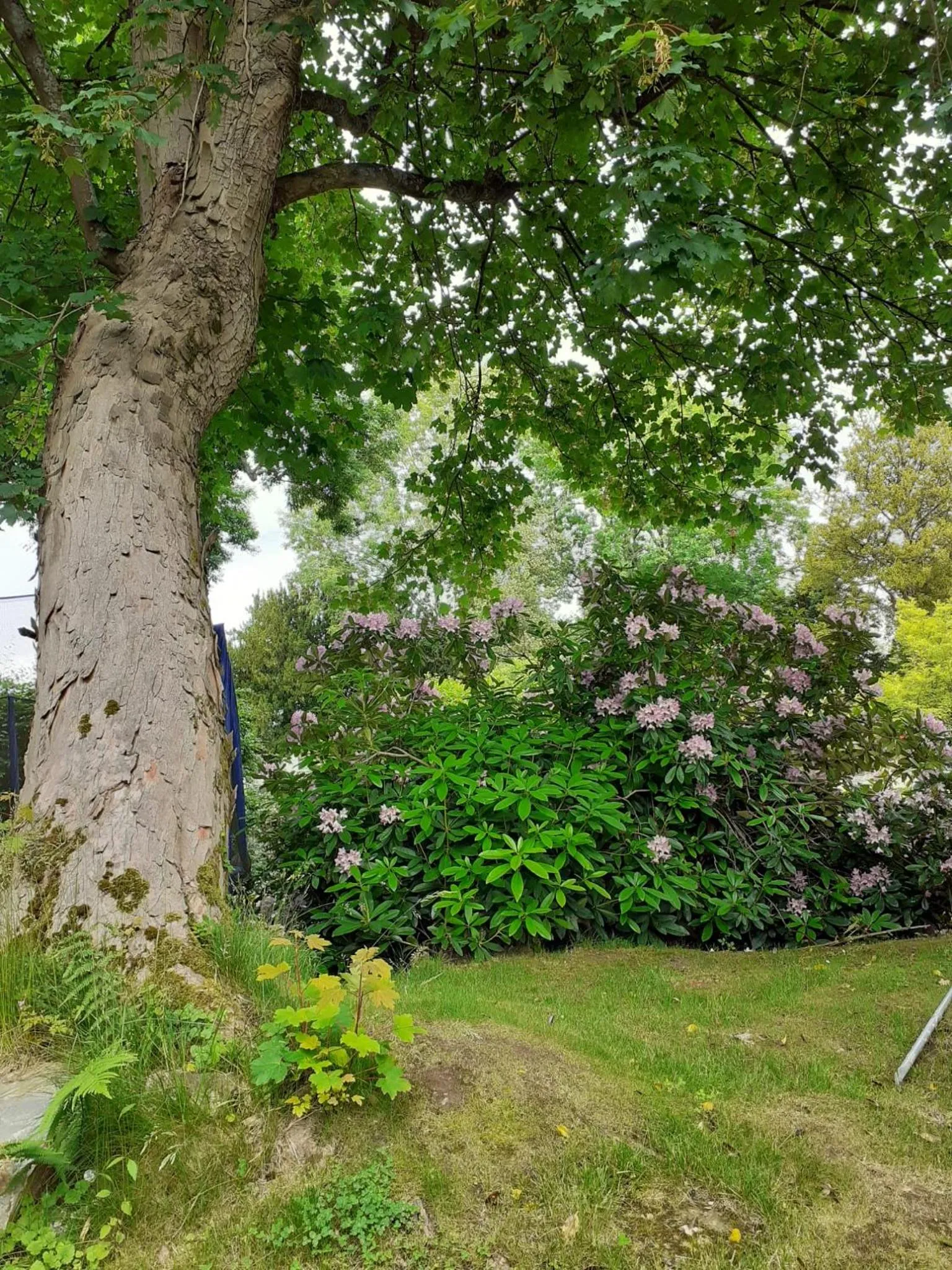 Natural landscape in Manoir de l'As de Trèfle