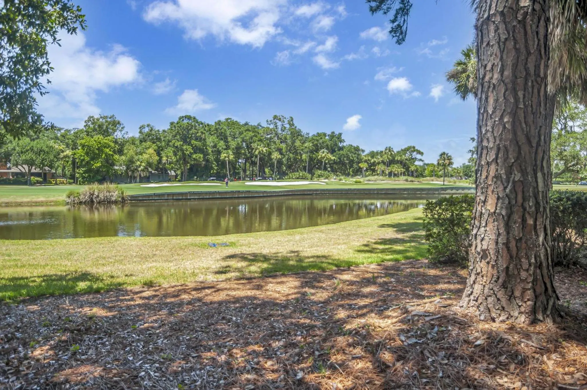310A Beach Lagoon at The Sea Pines Resort