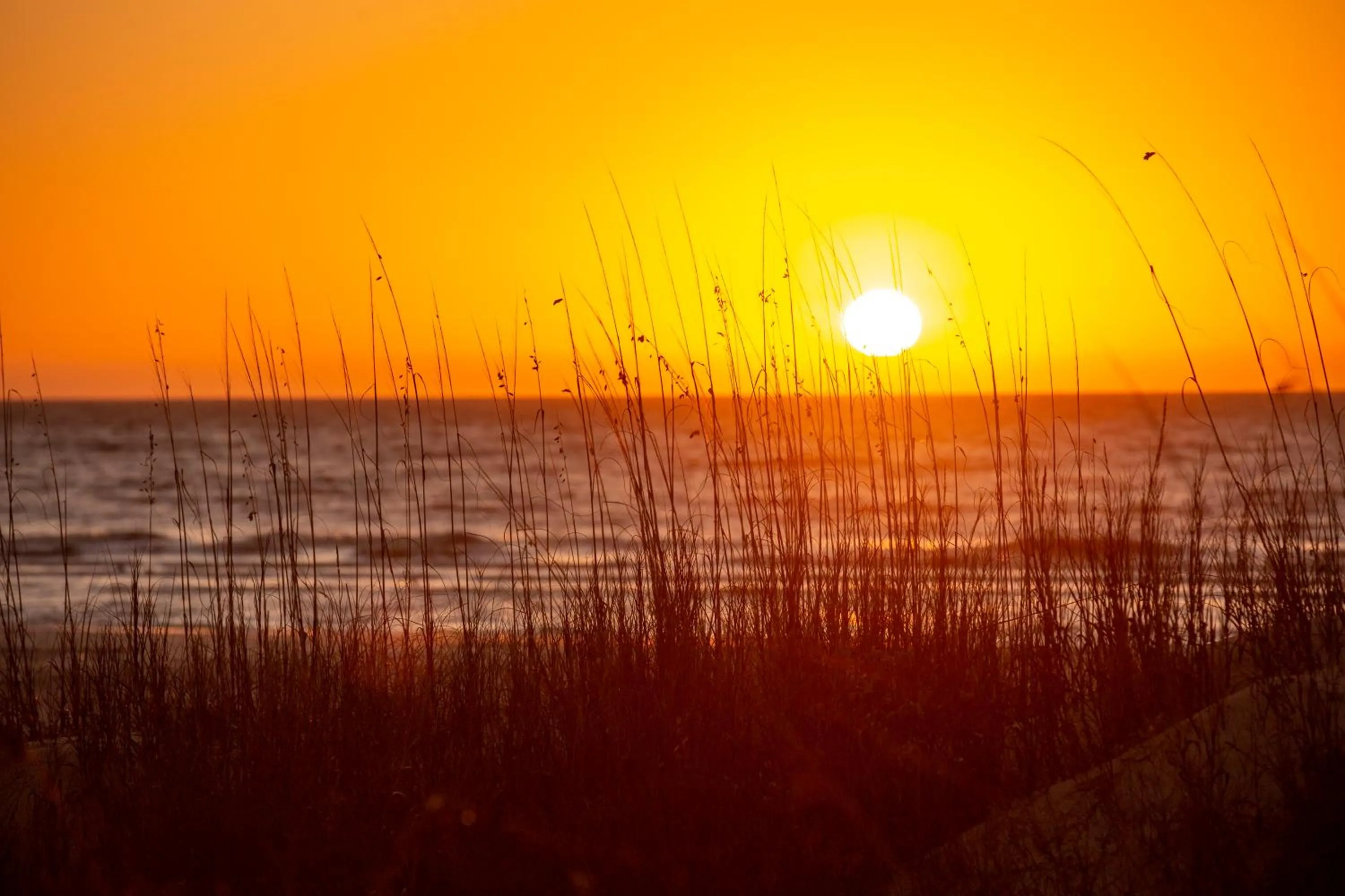1021 Caravel Court at The Sea Pines Resort