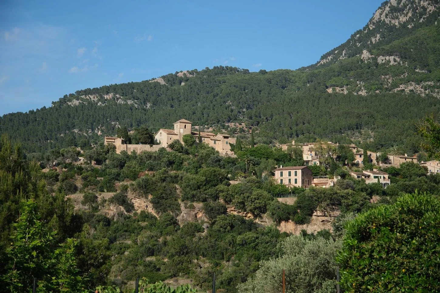 Nearby landmark in Es Moli Hotel