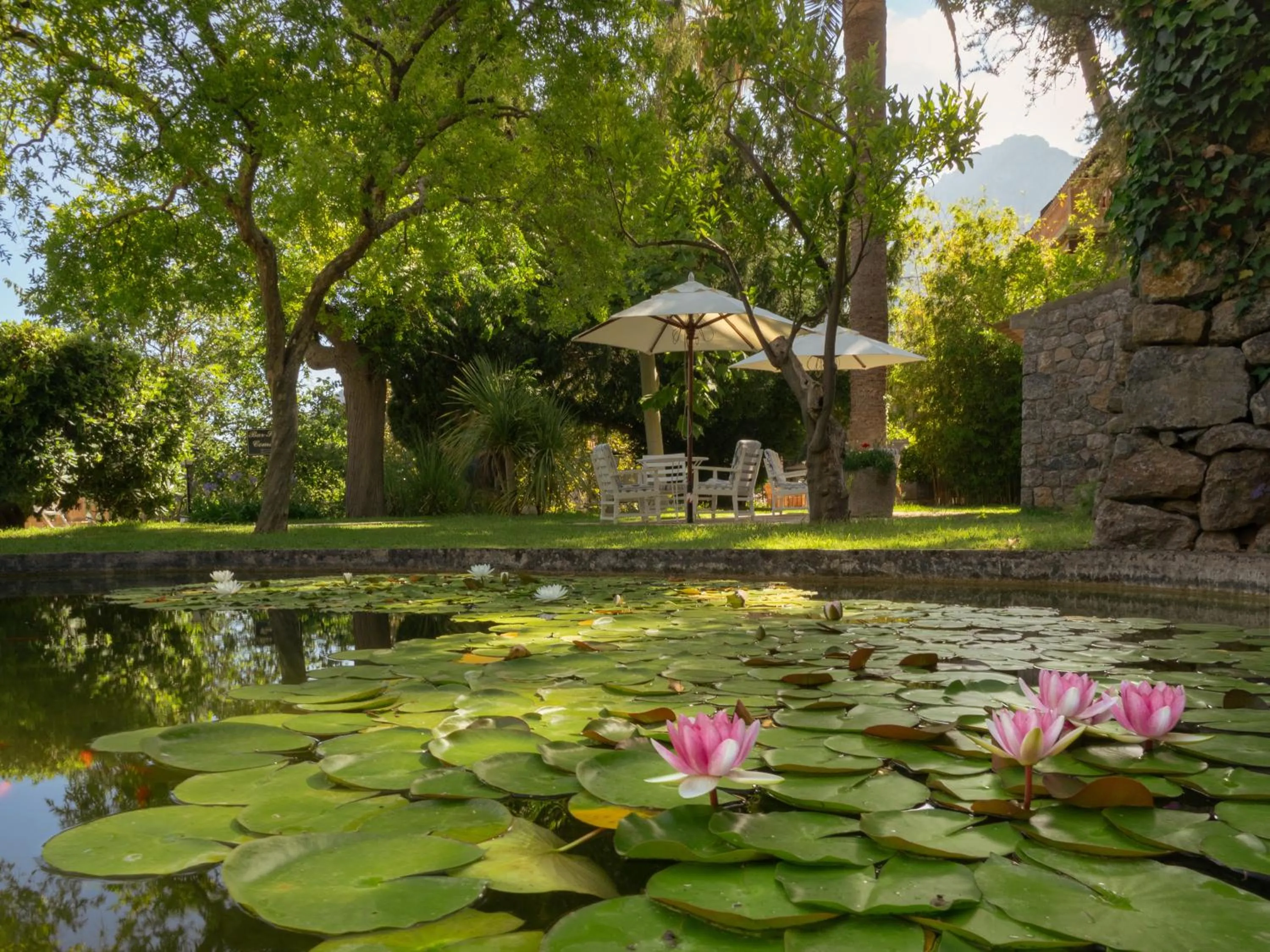 Natural landscape in Es Moli Hotel