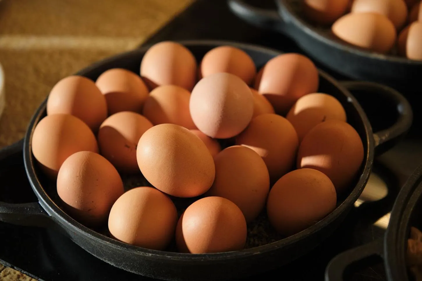 Food in Es Moli Hotel