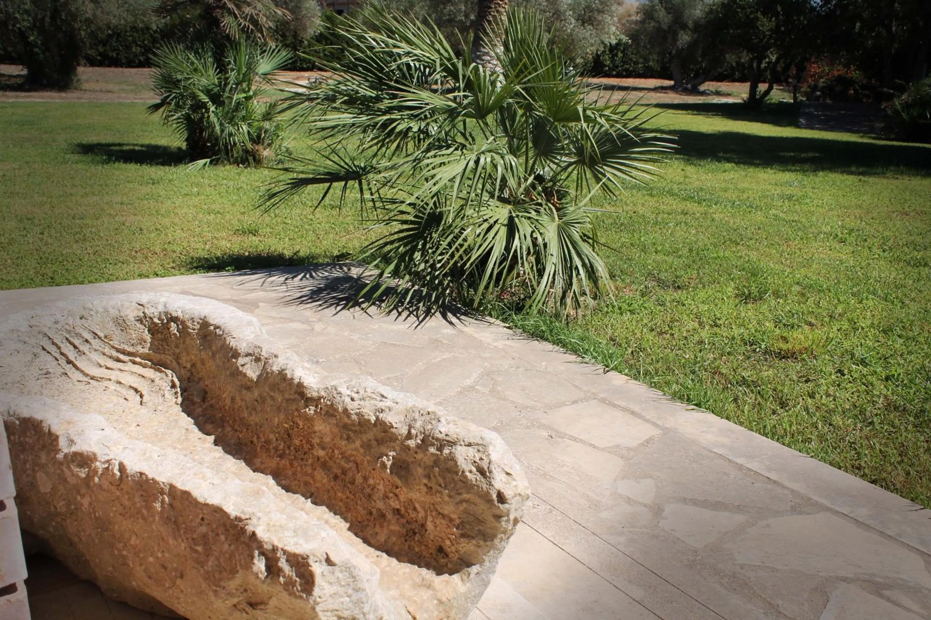 Garden in Villa Teresa