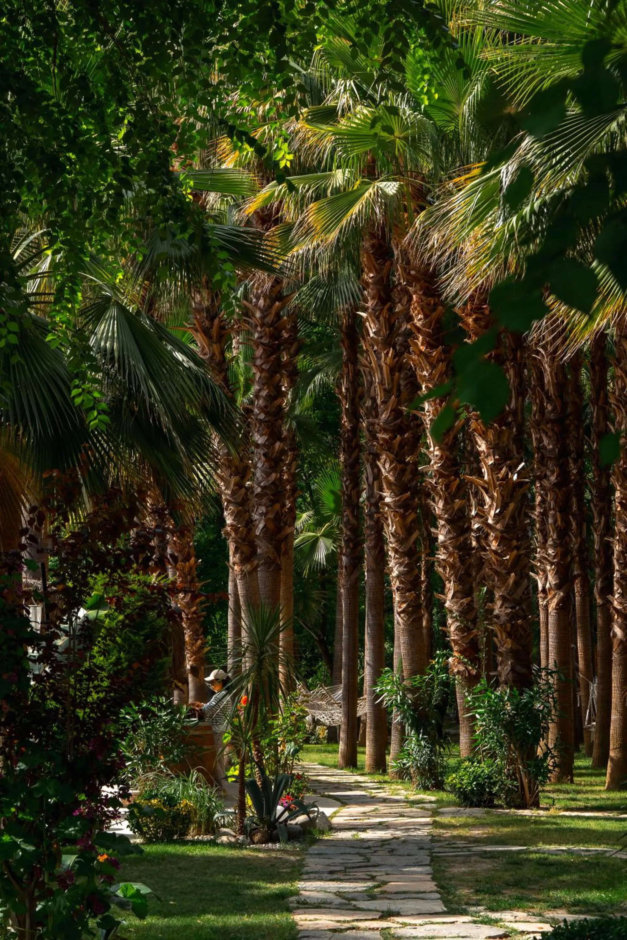 Garden in Layla Gocek Adults only