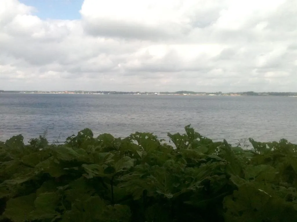 Other in Oase Friedensthal