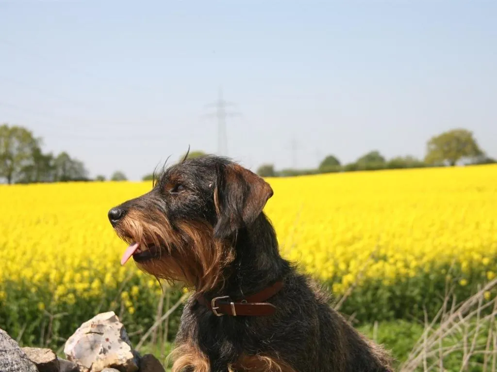 View (from property/room) in Oase Friedensthal