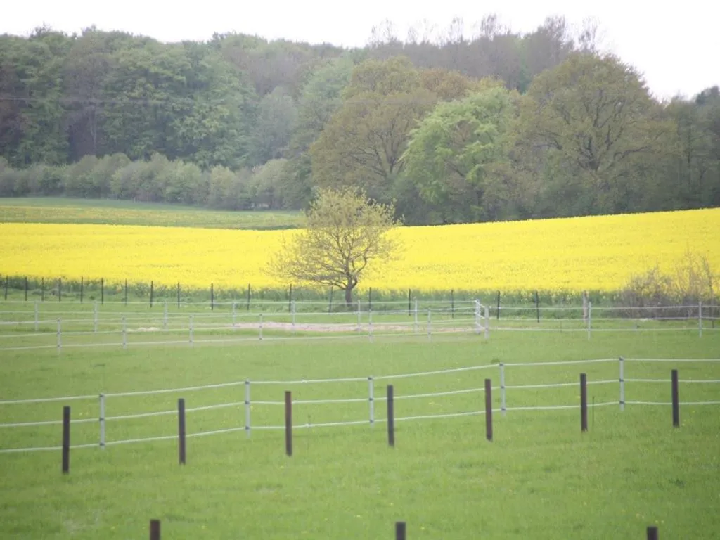 View (from property/room) in Oase Friedensthal