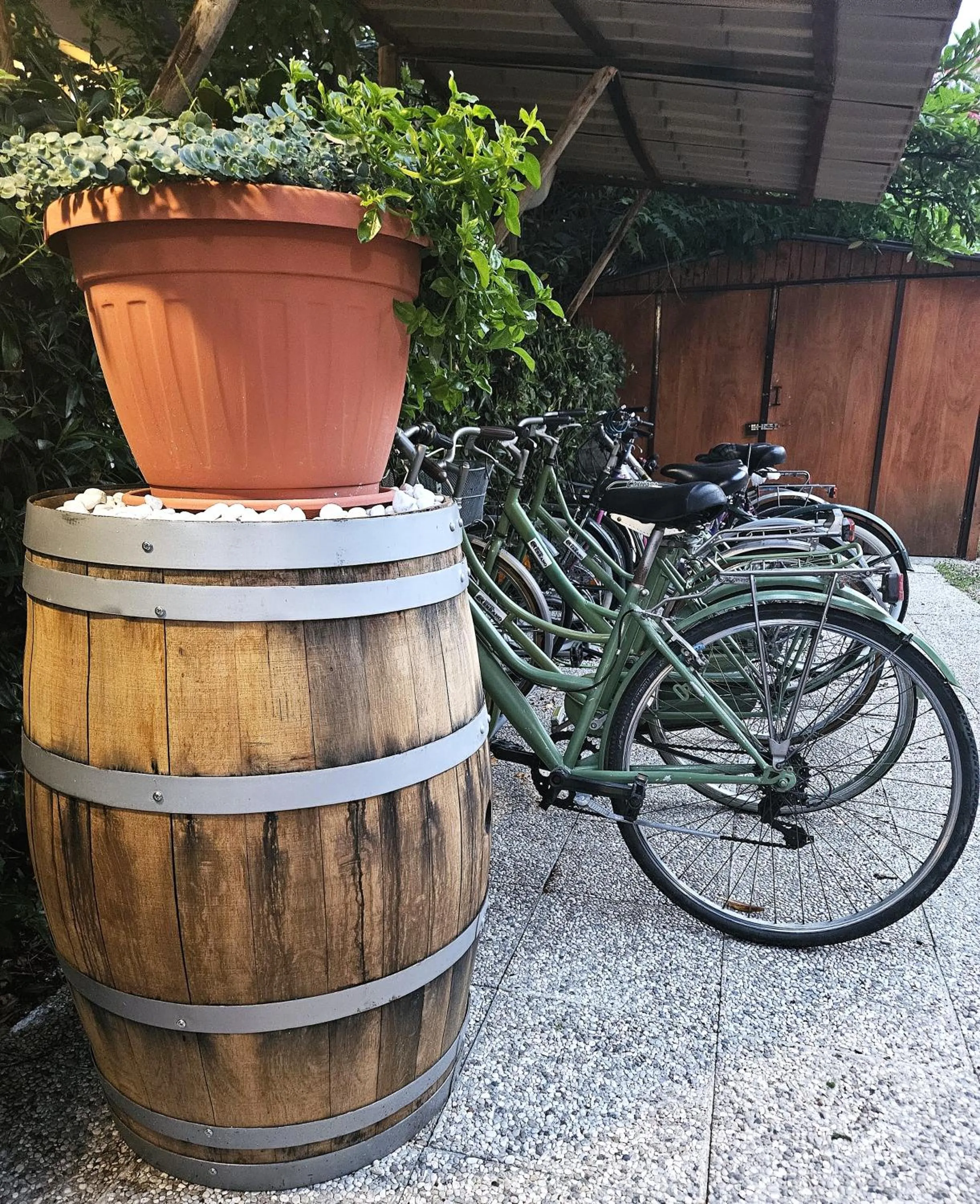 Cycling in Hotel Cerrano