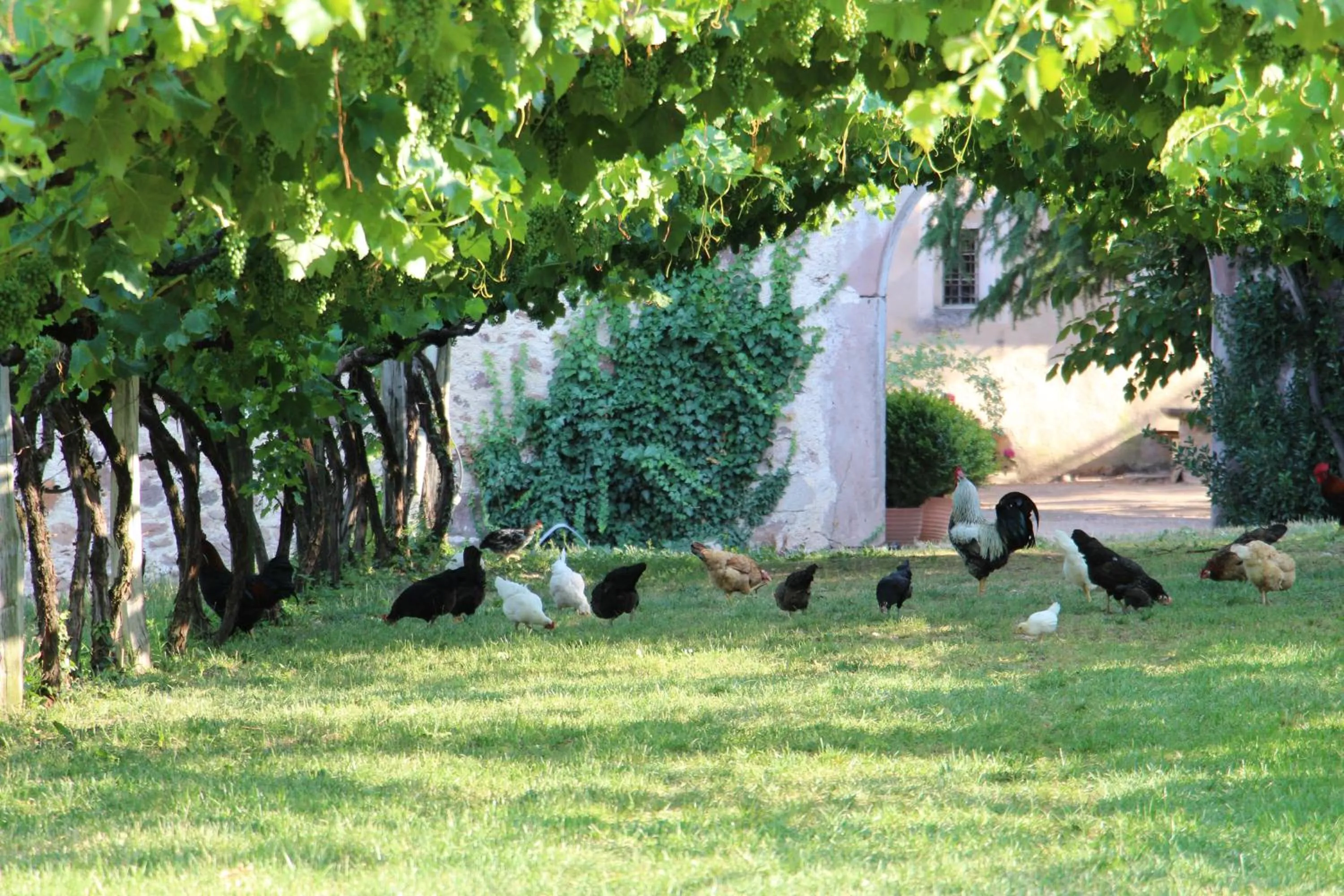Area and facilities in Schloss Englar