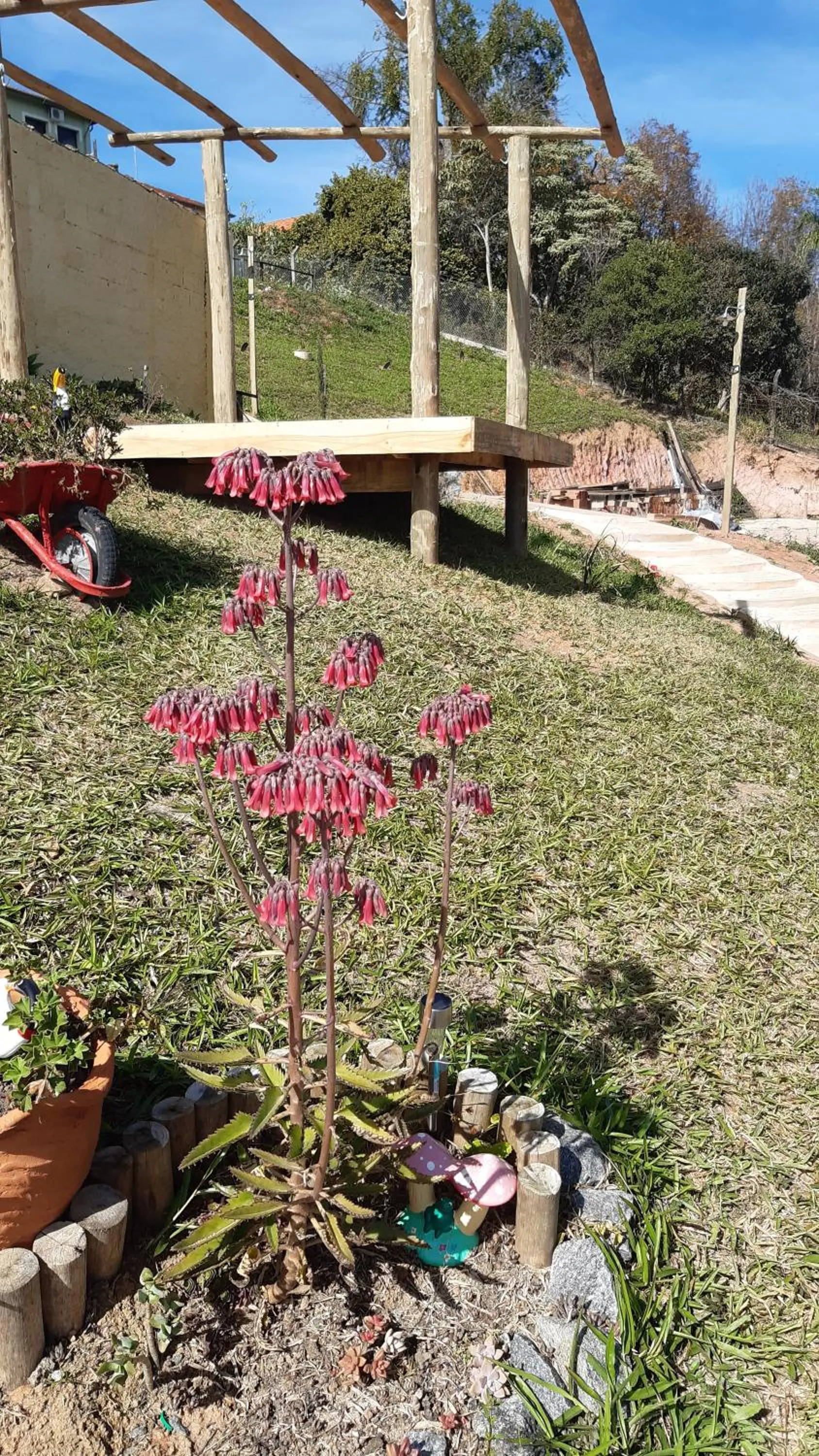 Garden in B&B Sol Poente