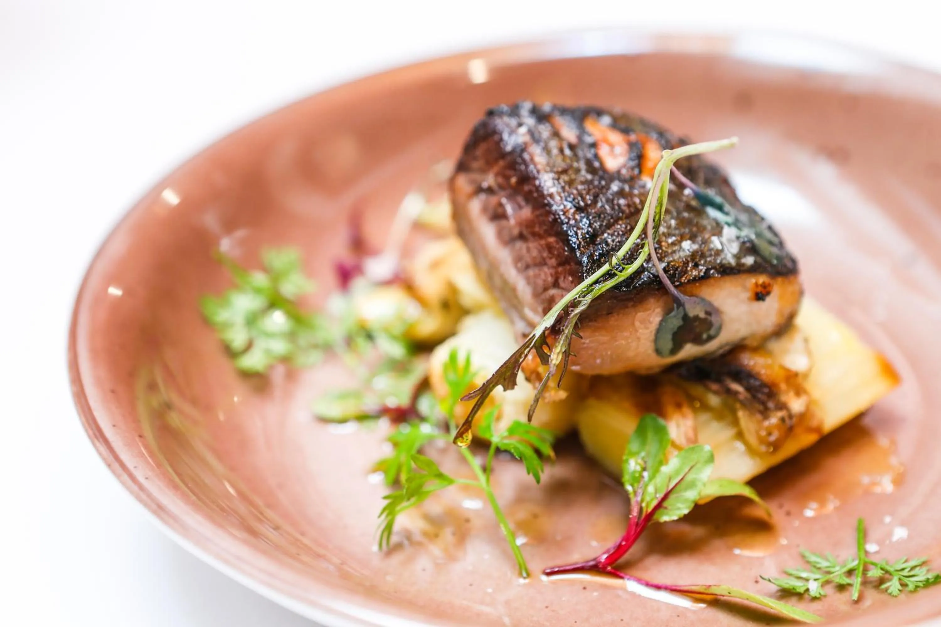 Restaurant/places to eat in Hotel La Gastrocasa - Adults Only