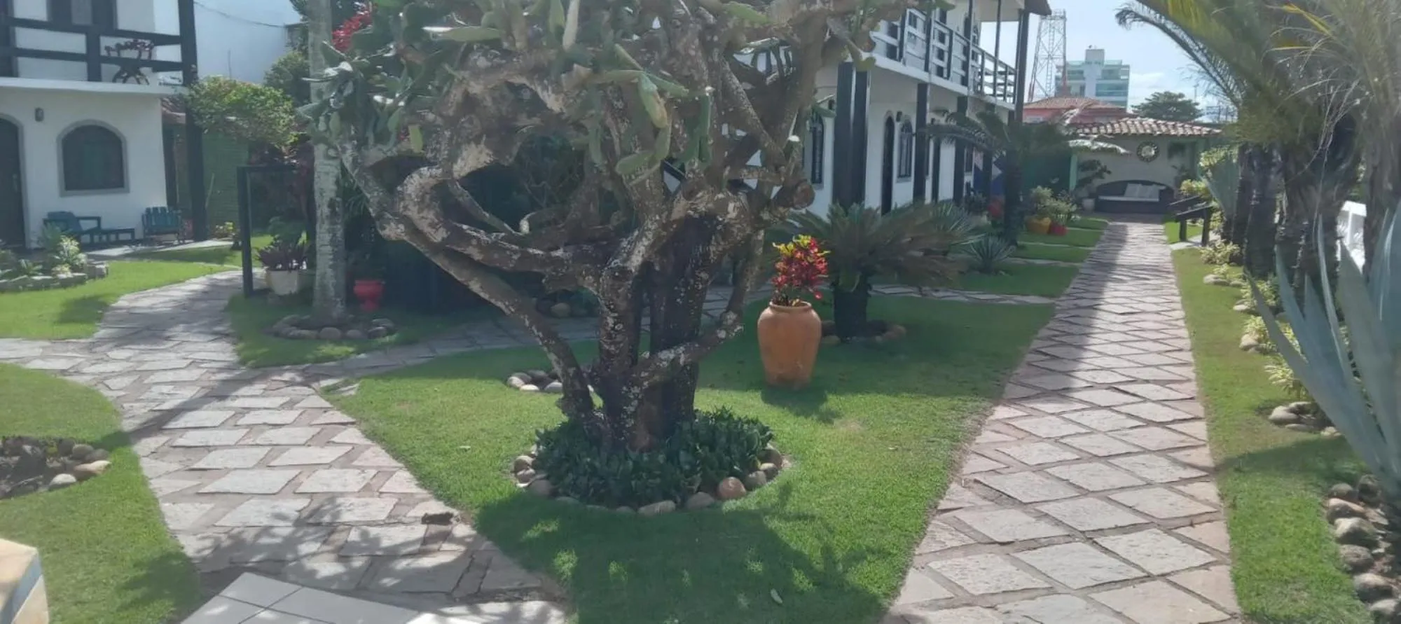 Garden in Atlântico Hotel