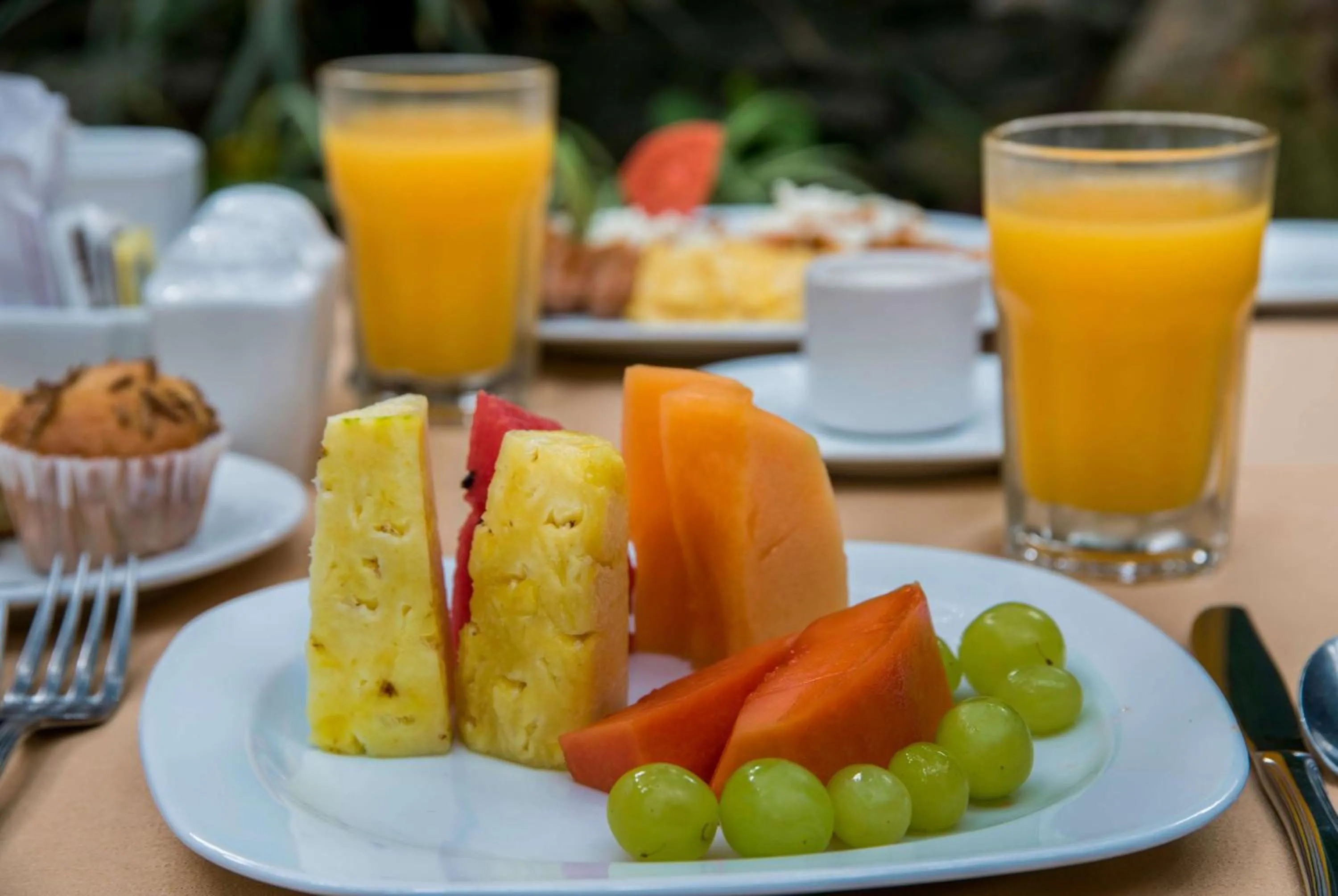 Restaurant/places to eat in Wyndham Garden Guadalajara Expo Plaza del Sol