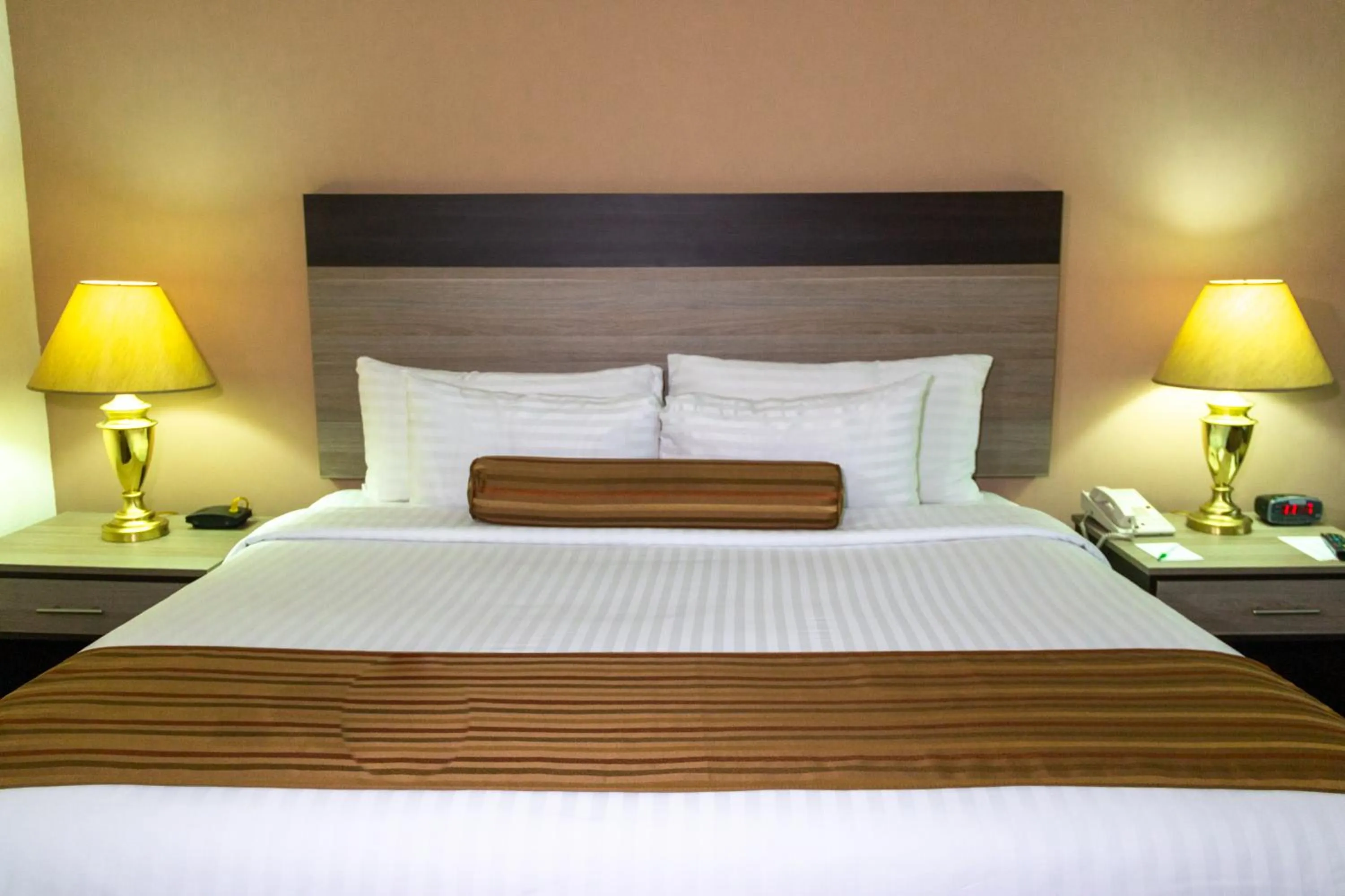 Pets, Bed in Wyndham Garden Guadalajara Expo Plaza del Sol