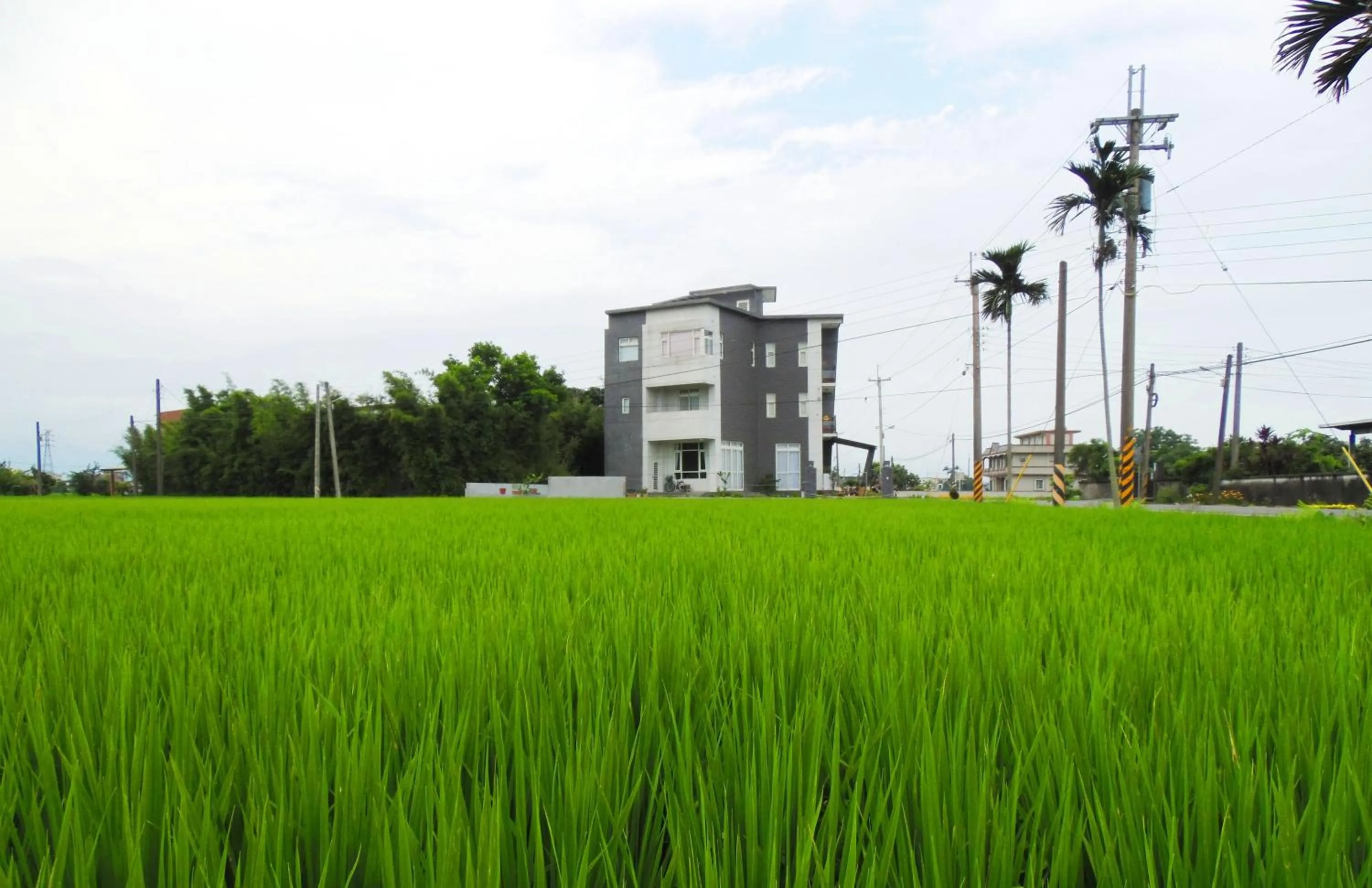 Decorative detail in Footprint Garden B&B
