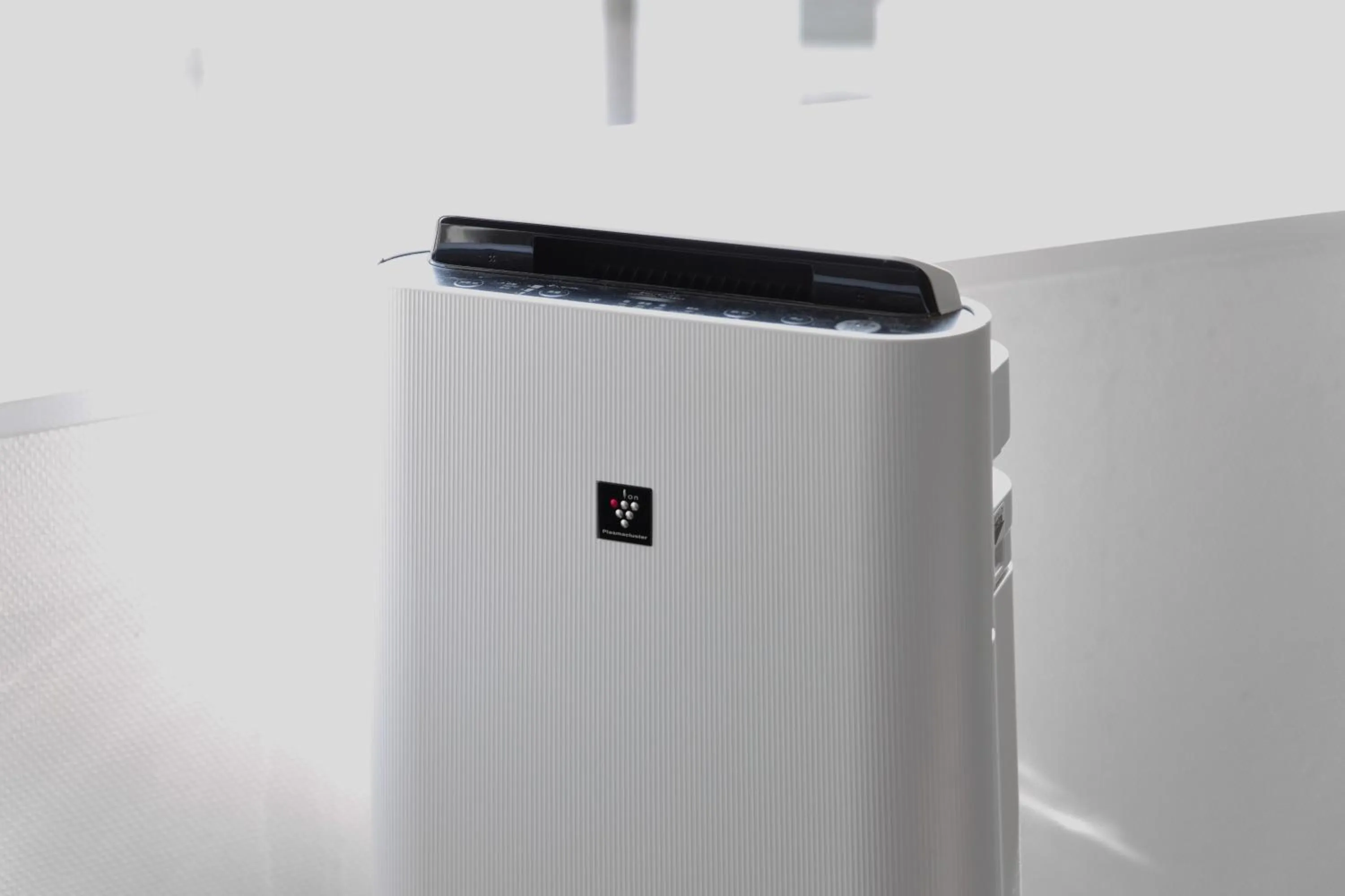 Photo of the whole room in Palace Hotel Omiya